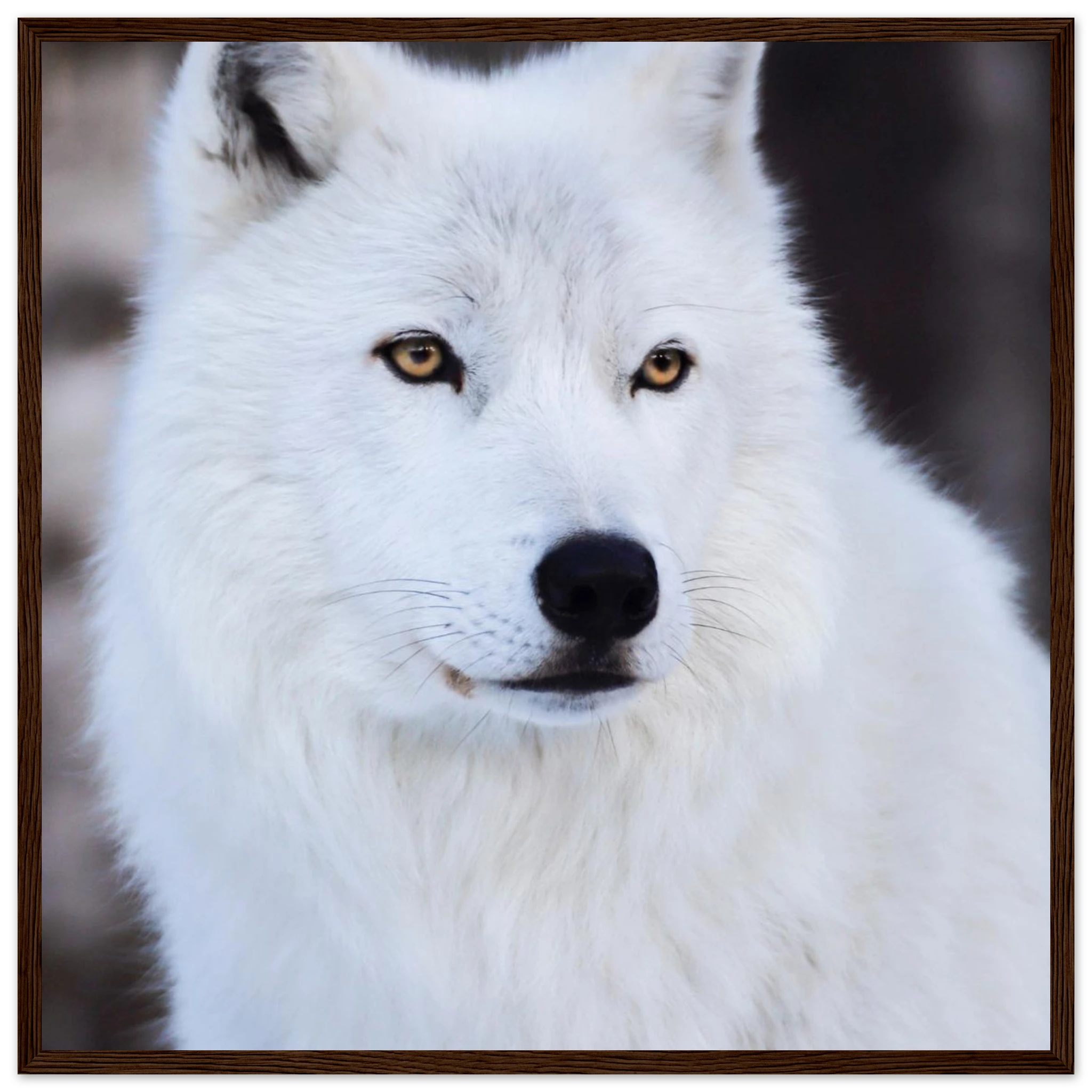 7e829770-3649-4751-a21c-c22a344fd457