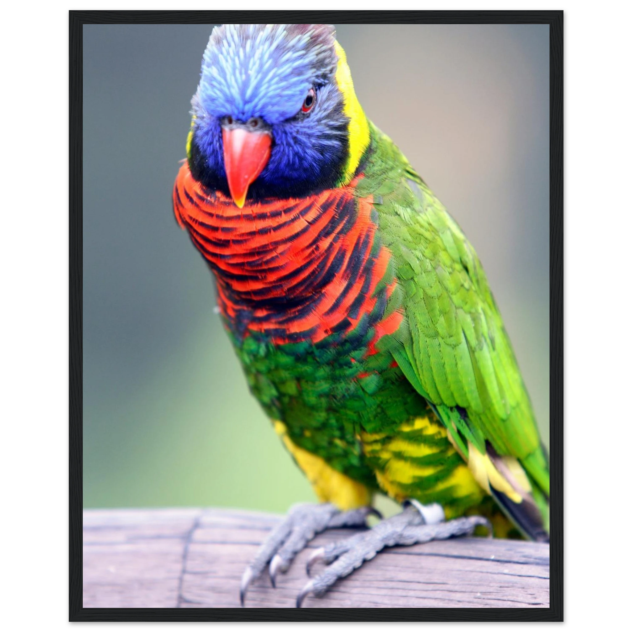 7e8494a7-5d2e-4a6f-9ce6-64f629189a93