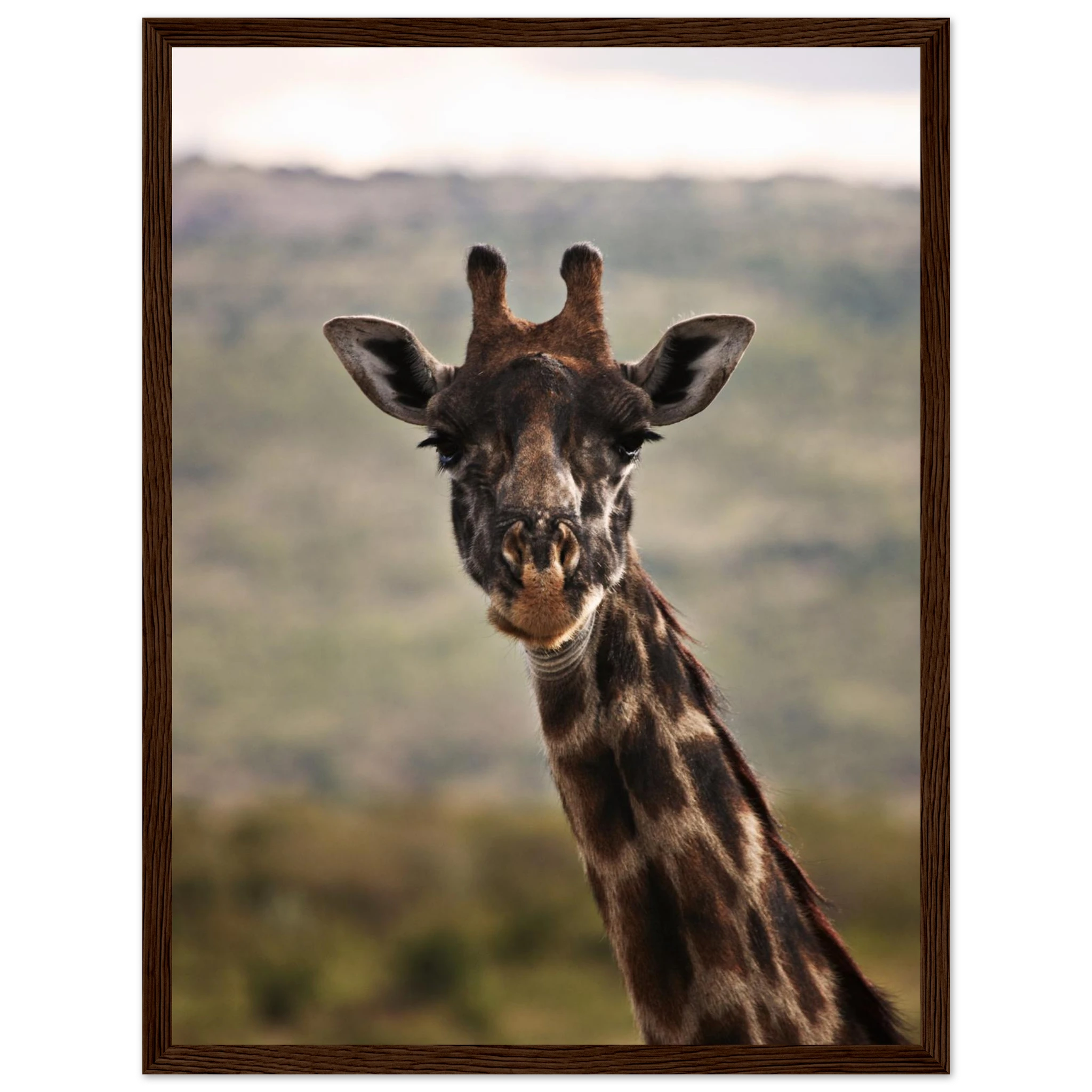 7ea49c06-c72b-4117-b3c5-35384d77c392