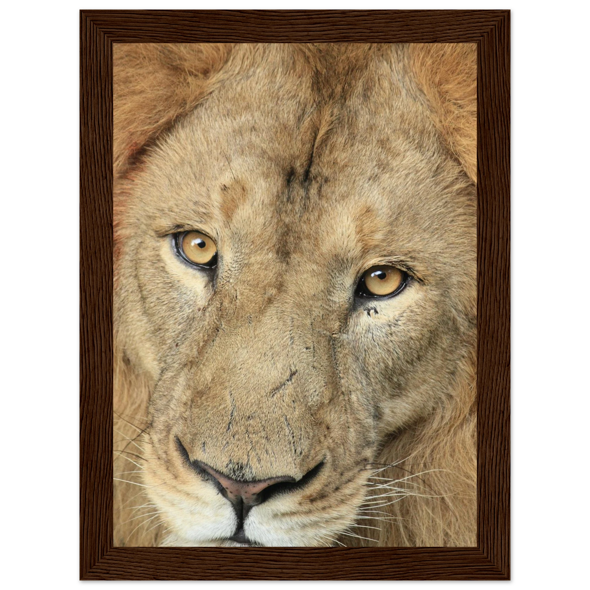 7eb670e6-be66-4487-af98-84a0bd0a6f28