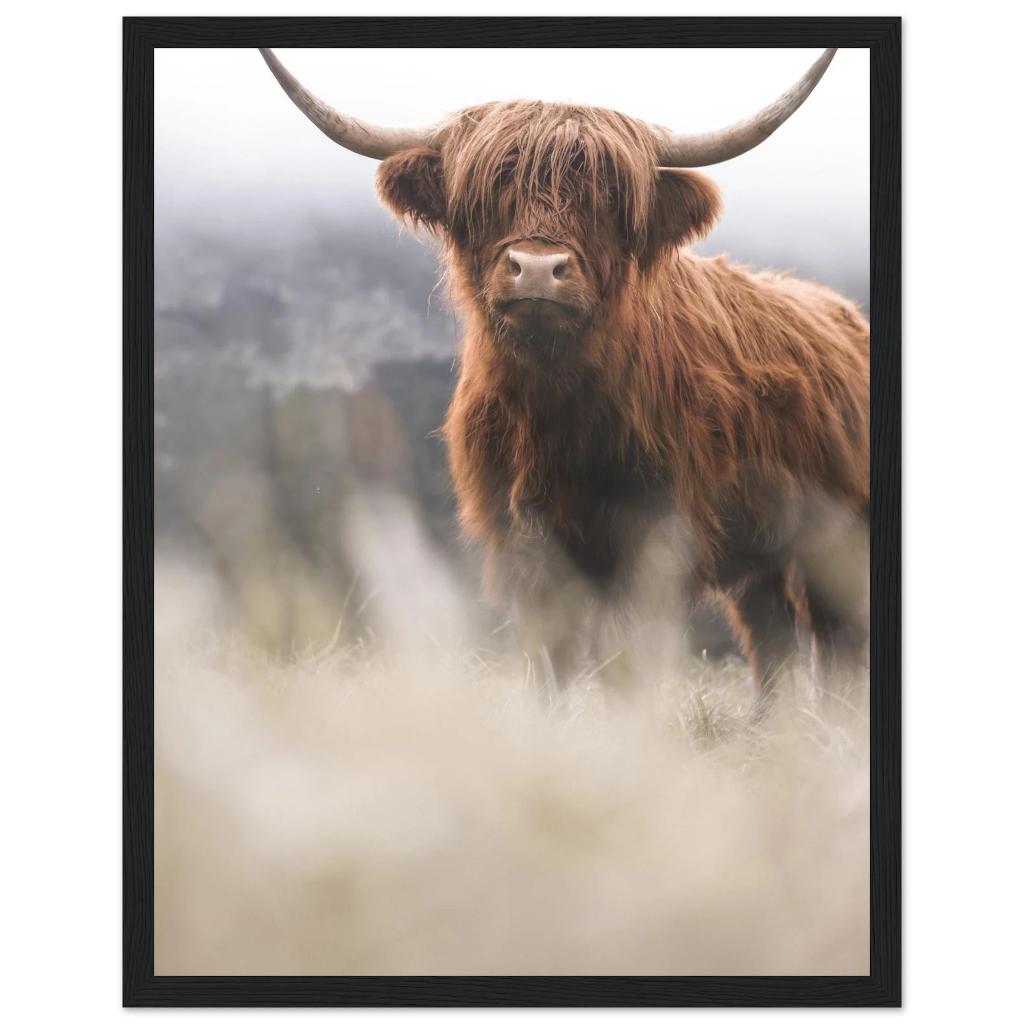 7eb8877b-21e3-4a10-a0ea-c9ecd26fb5e3