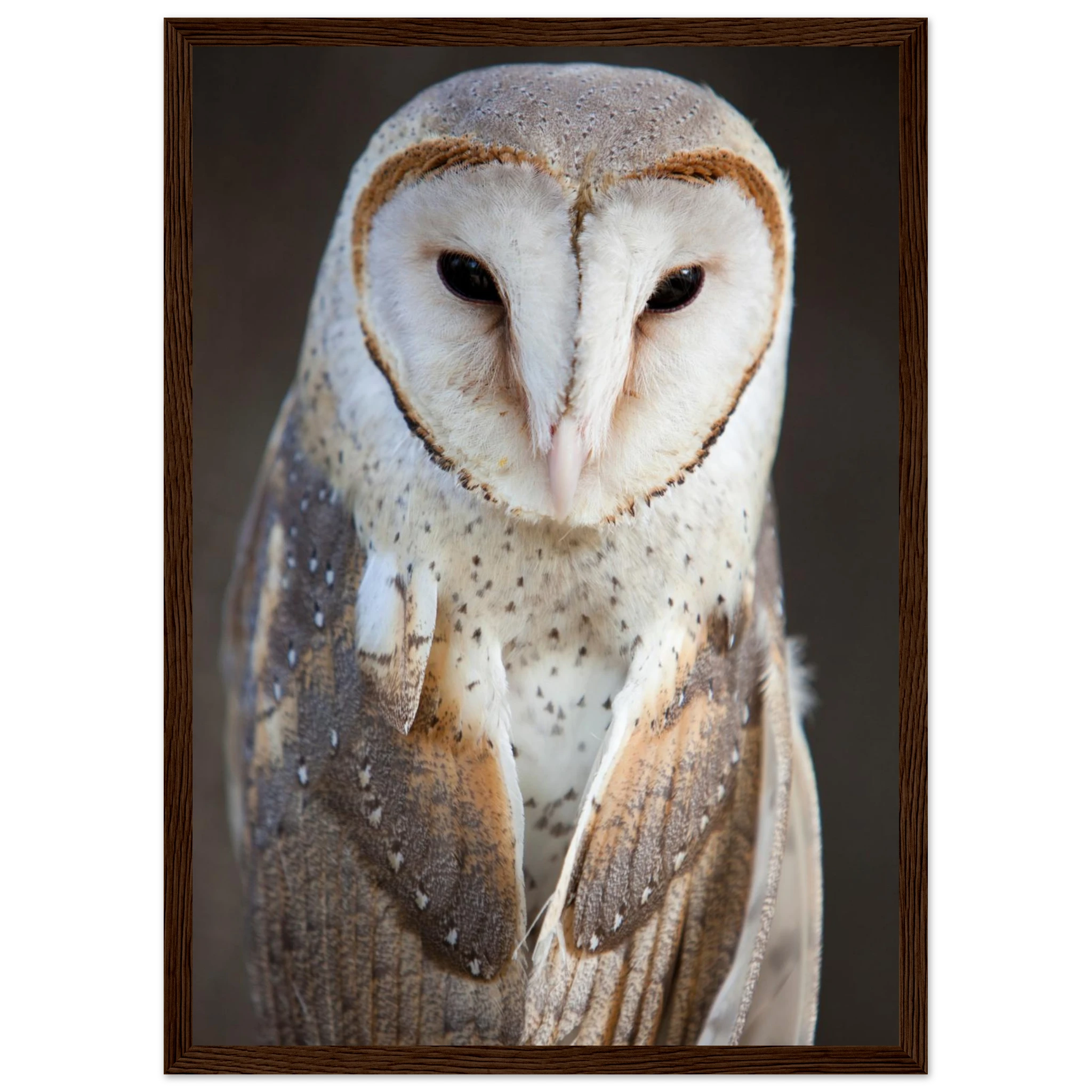 7ef148a2-8fc2-4232-9ec3-69adaa56dc6b