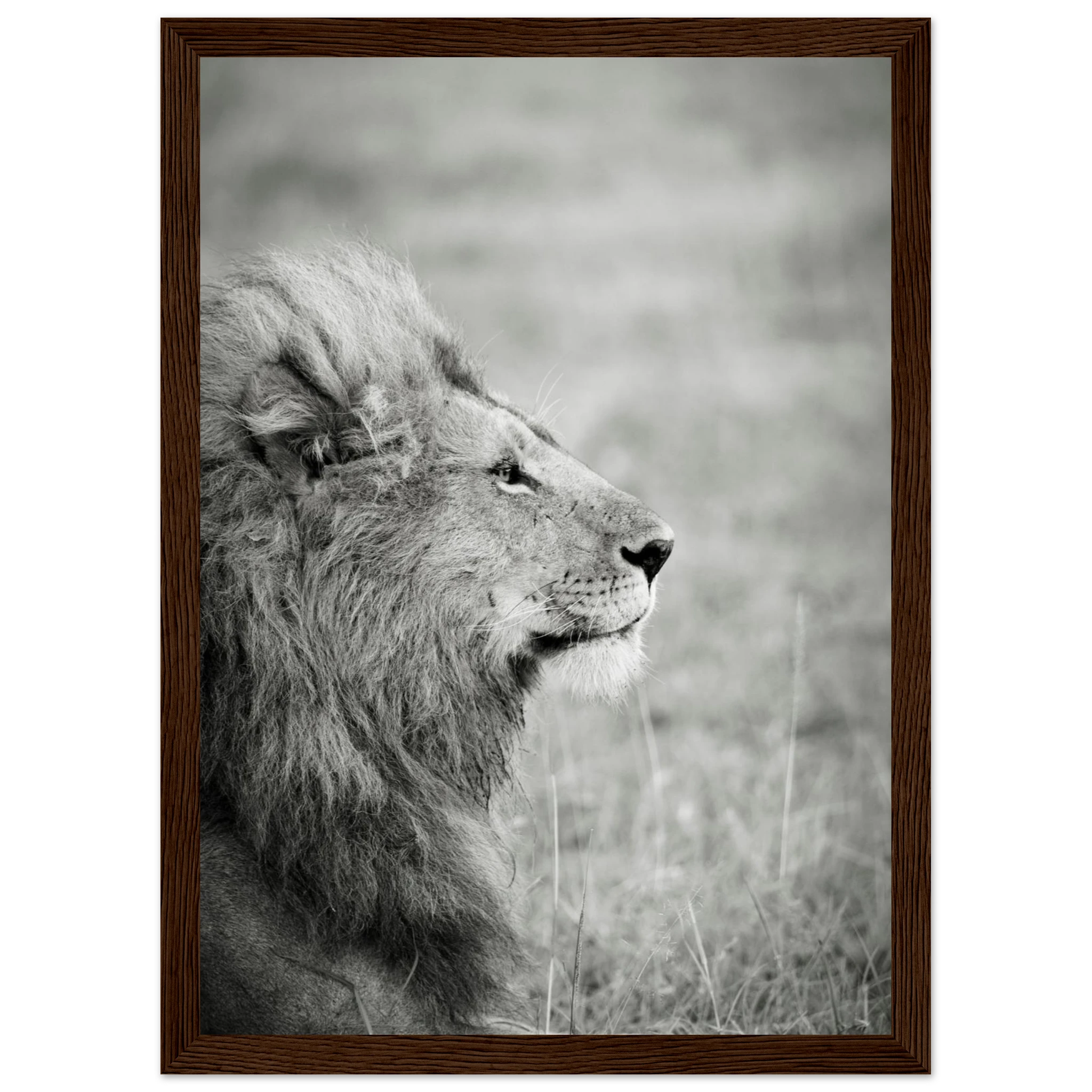 7f000d61-9d61-4646-a46d-ba9f408fb64f