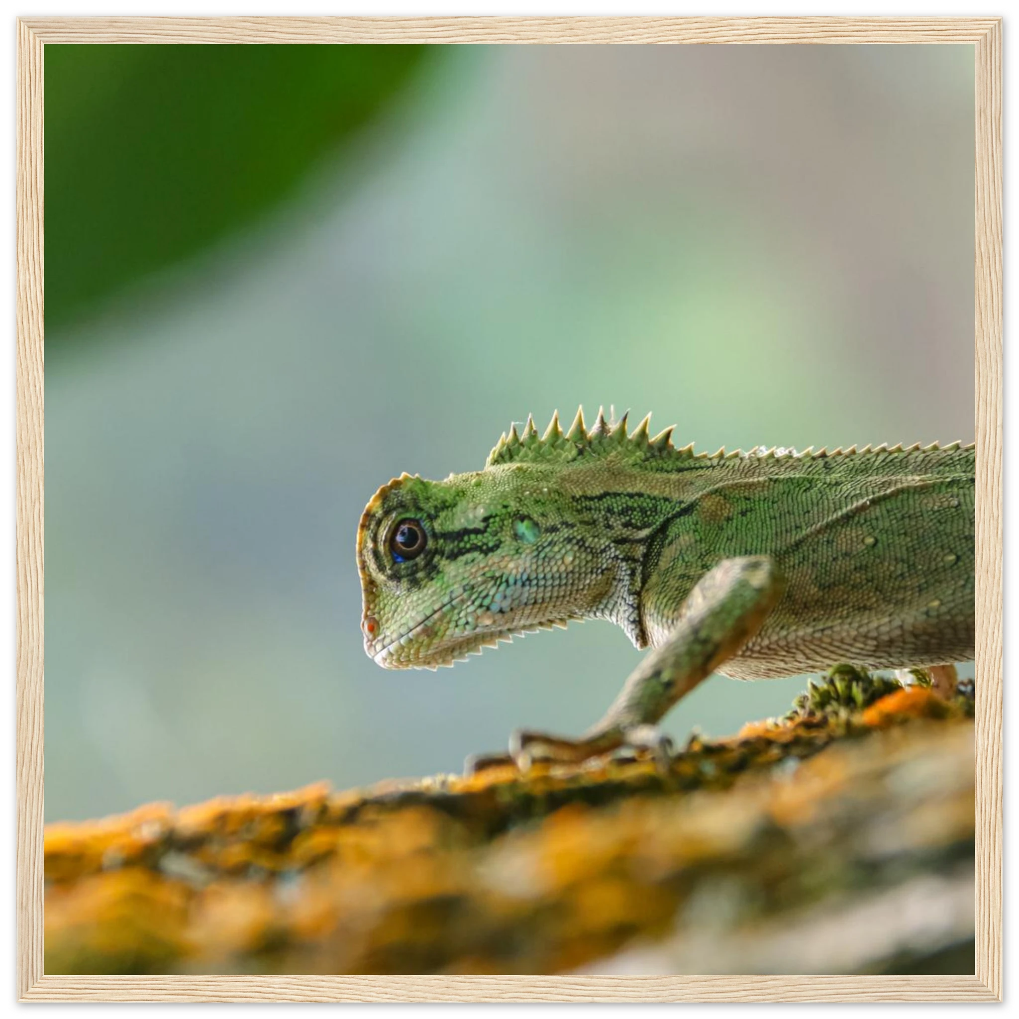 7f0154cb-ef73-4d59-8982-04f891695f79