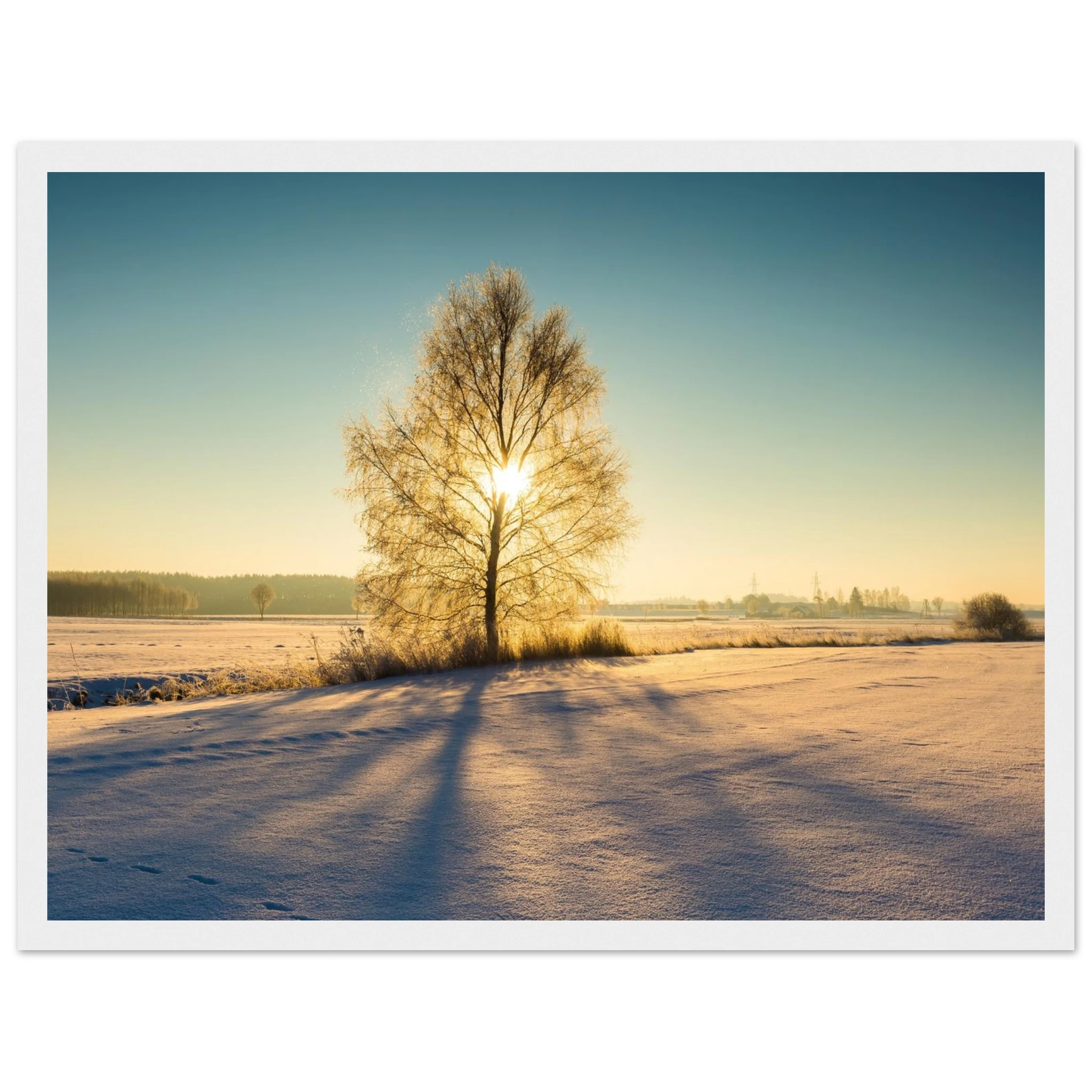 7f099437-285f-452d-b987-b313e42f61c2