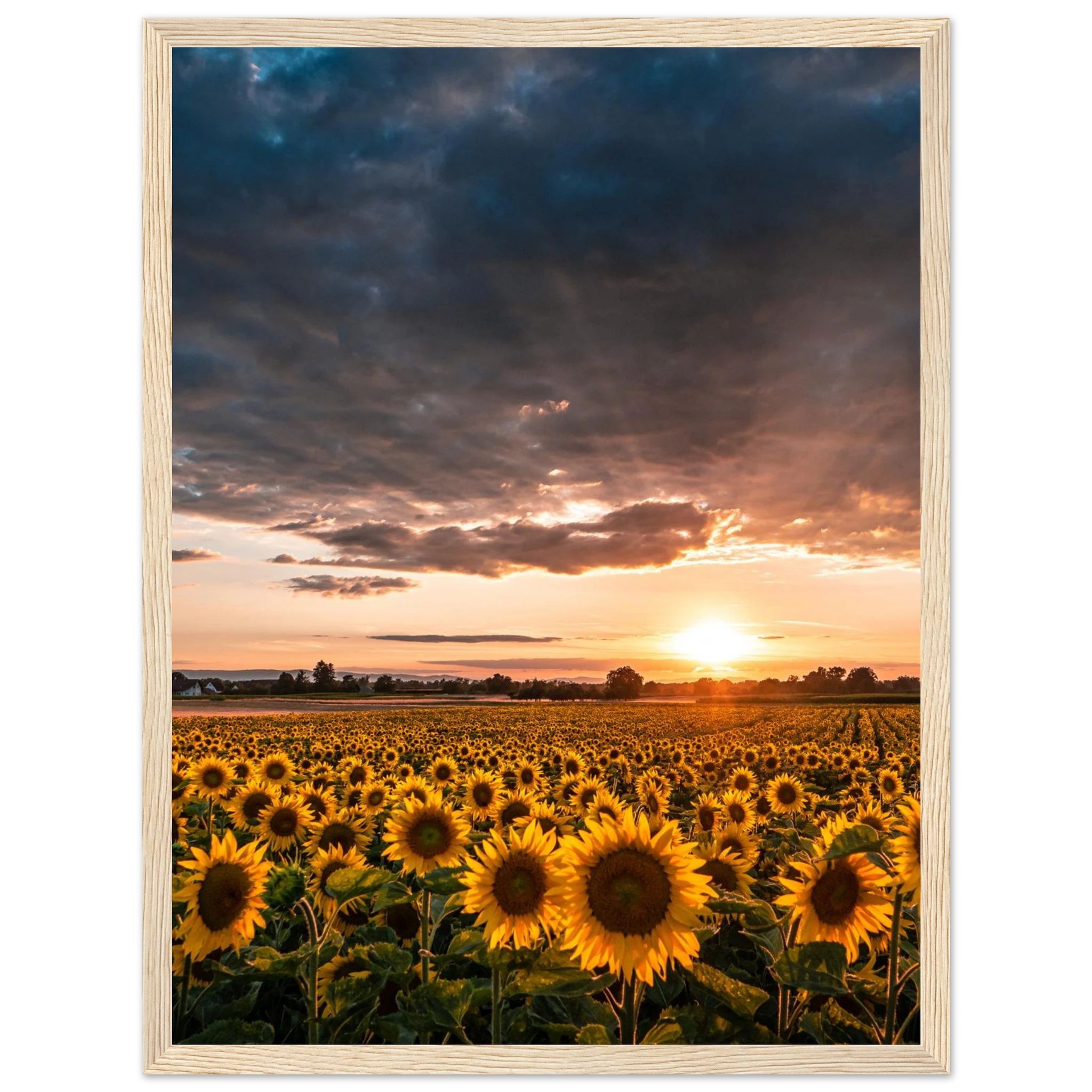 7f0b57e8-4e68-4d31-a745-e60998543a16