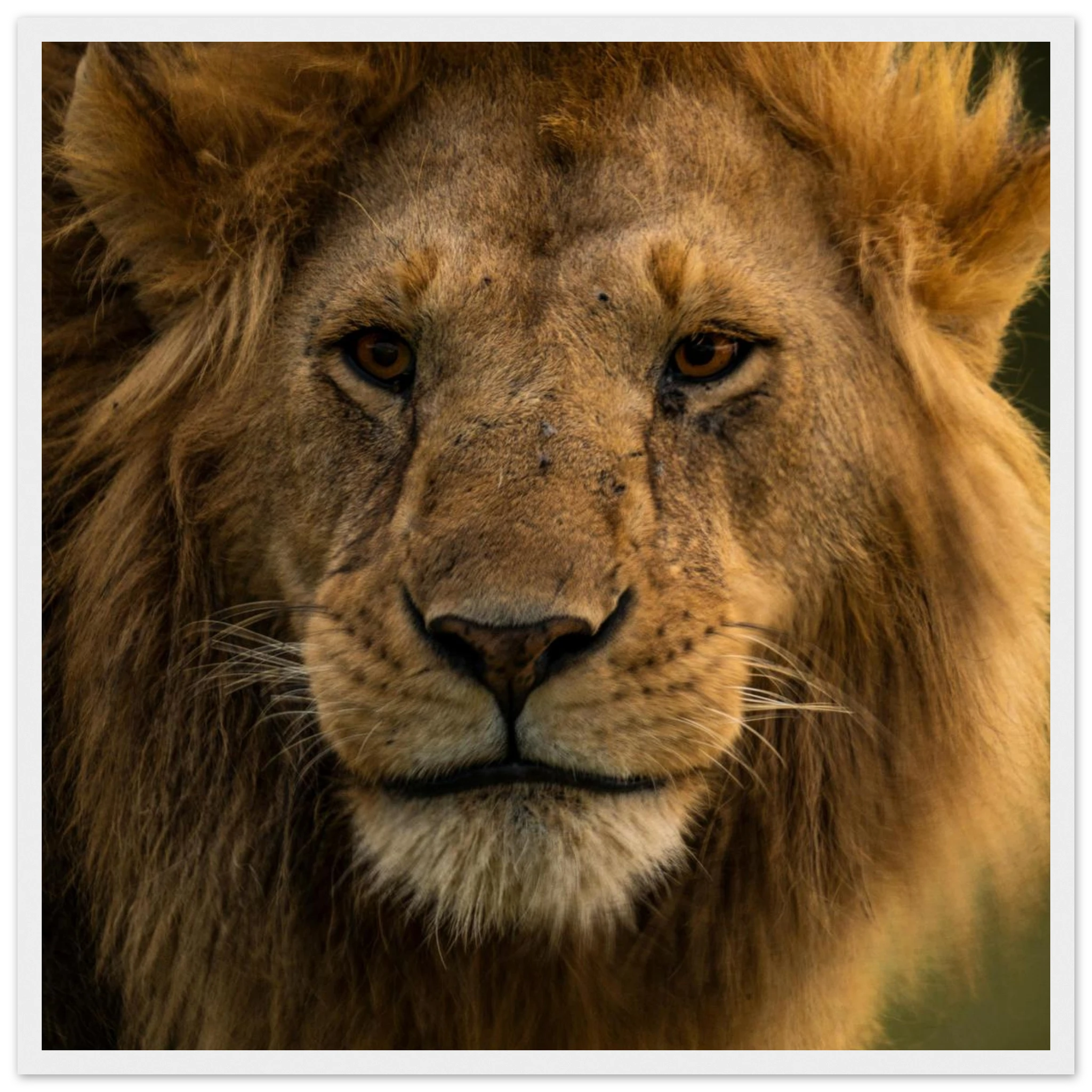 7f302067-9da9-492a-be0a-bceaecd7afa5