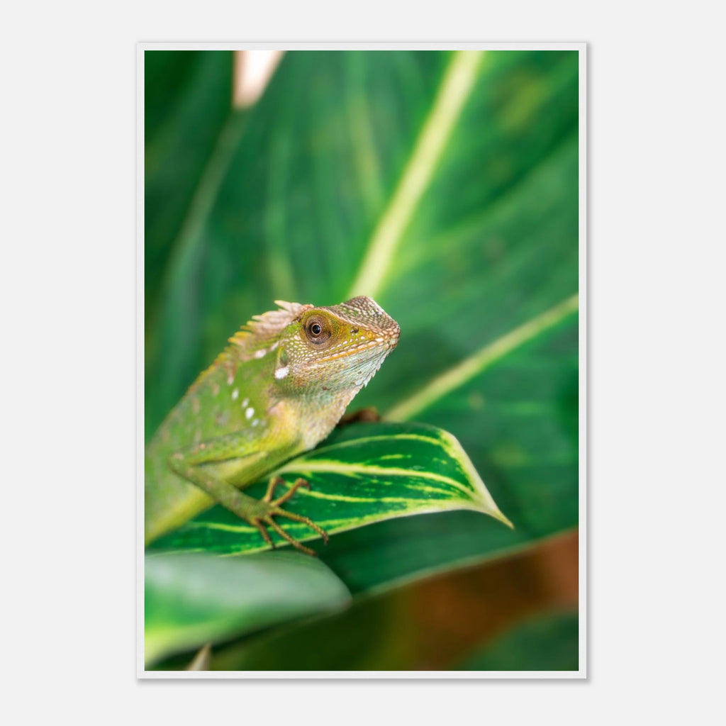 7f389a69-569d-4f7c-a8d4-cf7327b46810