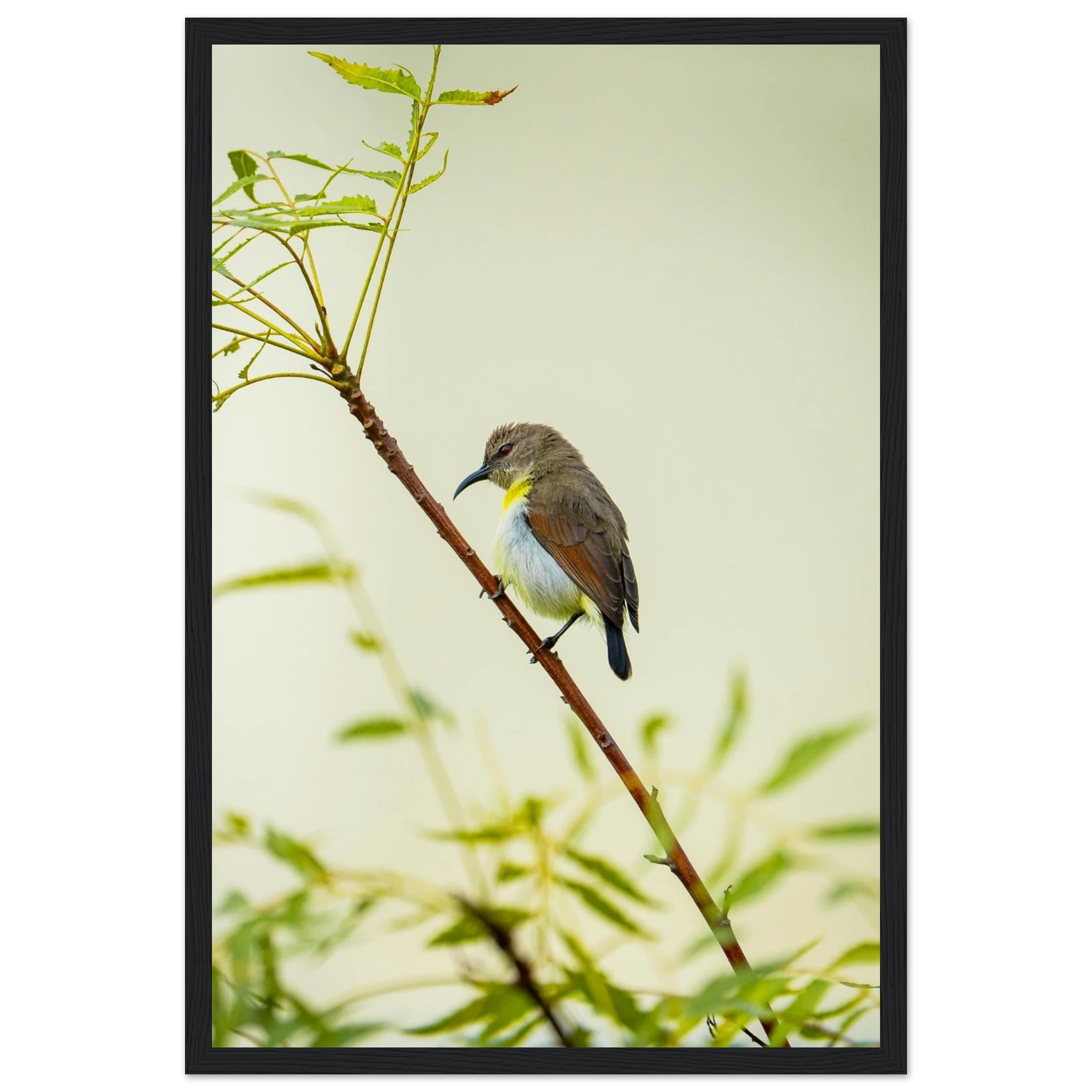 7f518e4f-bd46-41e8-a498-ecb5aead1e1e