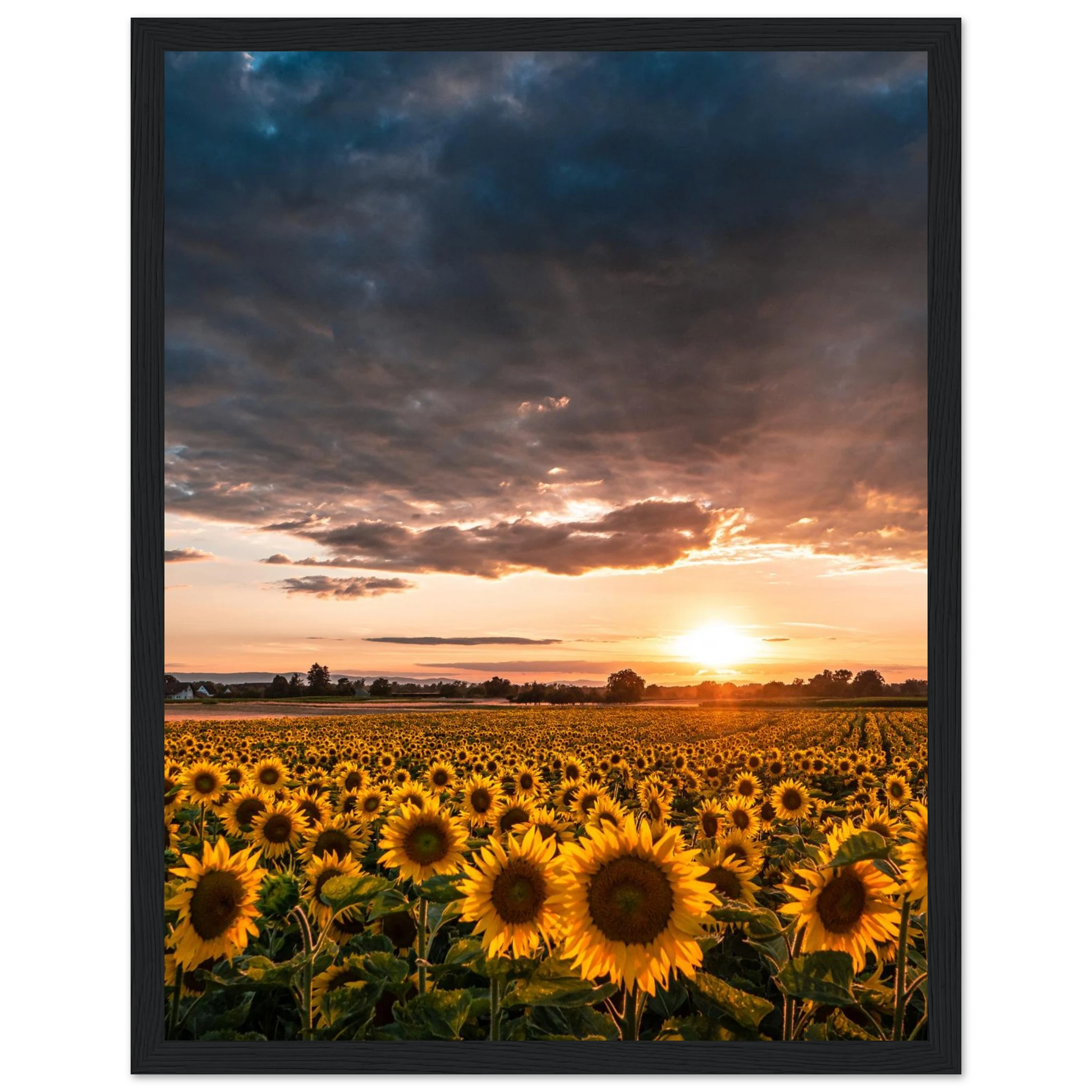 7f7a1a6d-4266-4621-a0b4-c9a5872b129f