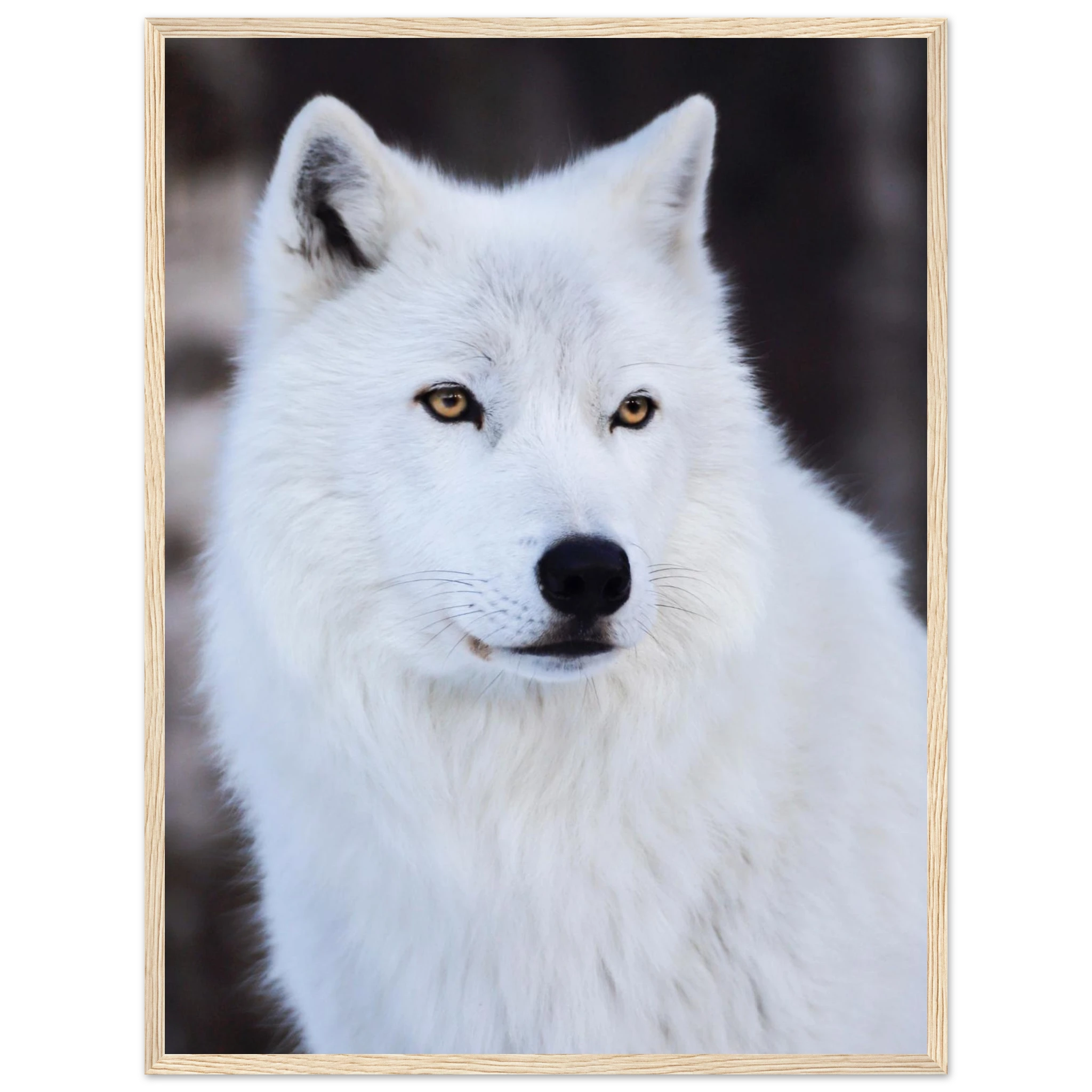 7faae71f-5fd3-497f-9084-fc8ac4e3870b