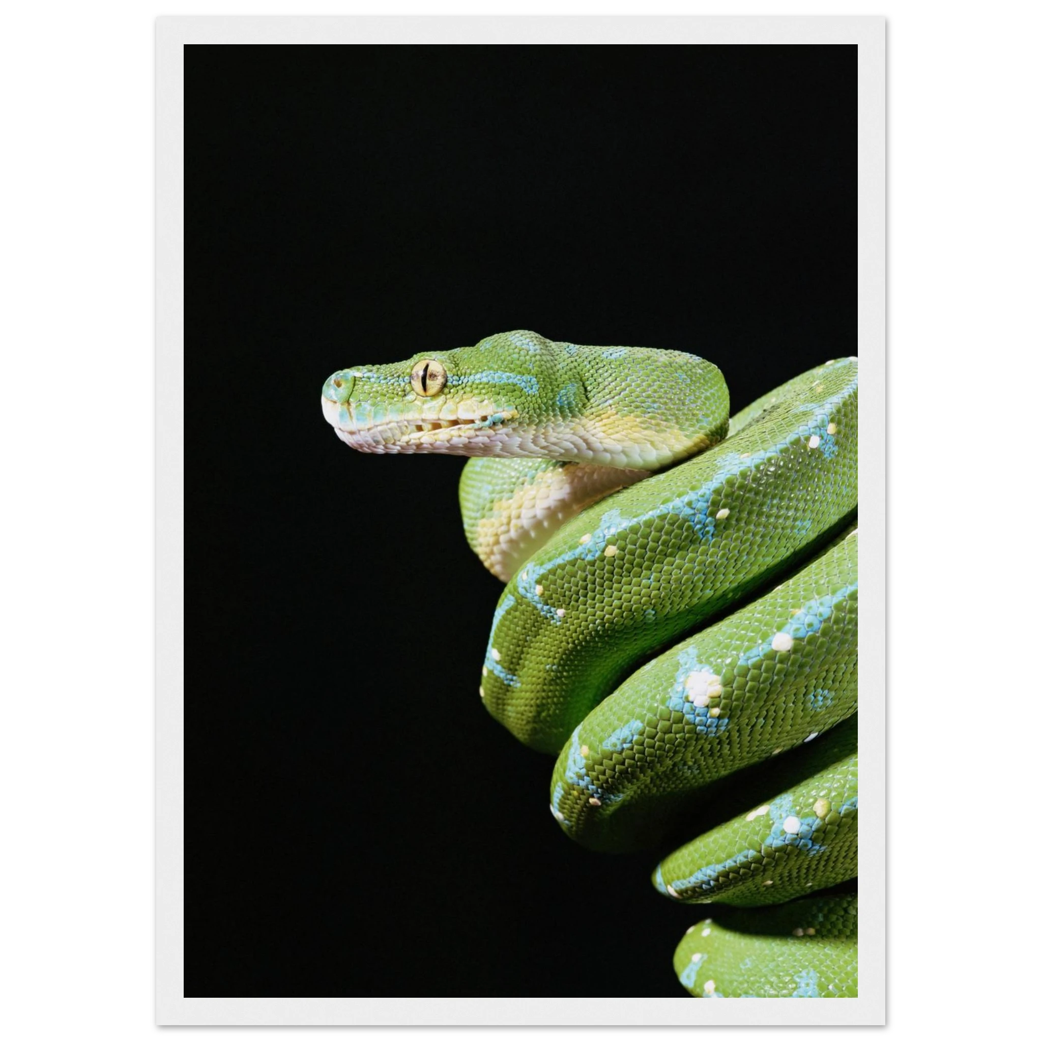 7fc69c23-70b4-46ba-b04c-486cfdf1eb80