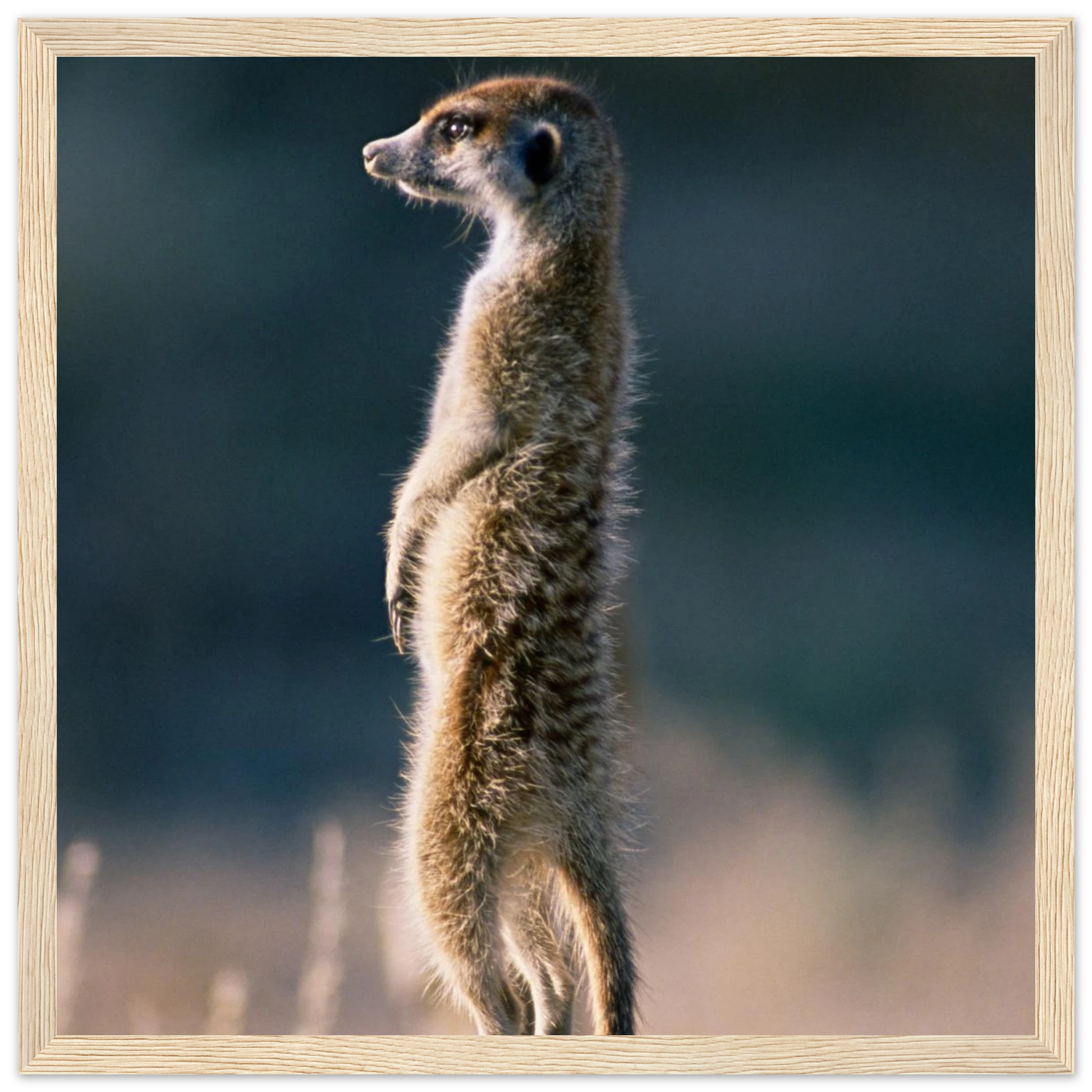 7fcbb6a7-ce81-4e7e-b312-e404fe5d7ce0