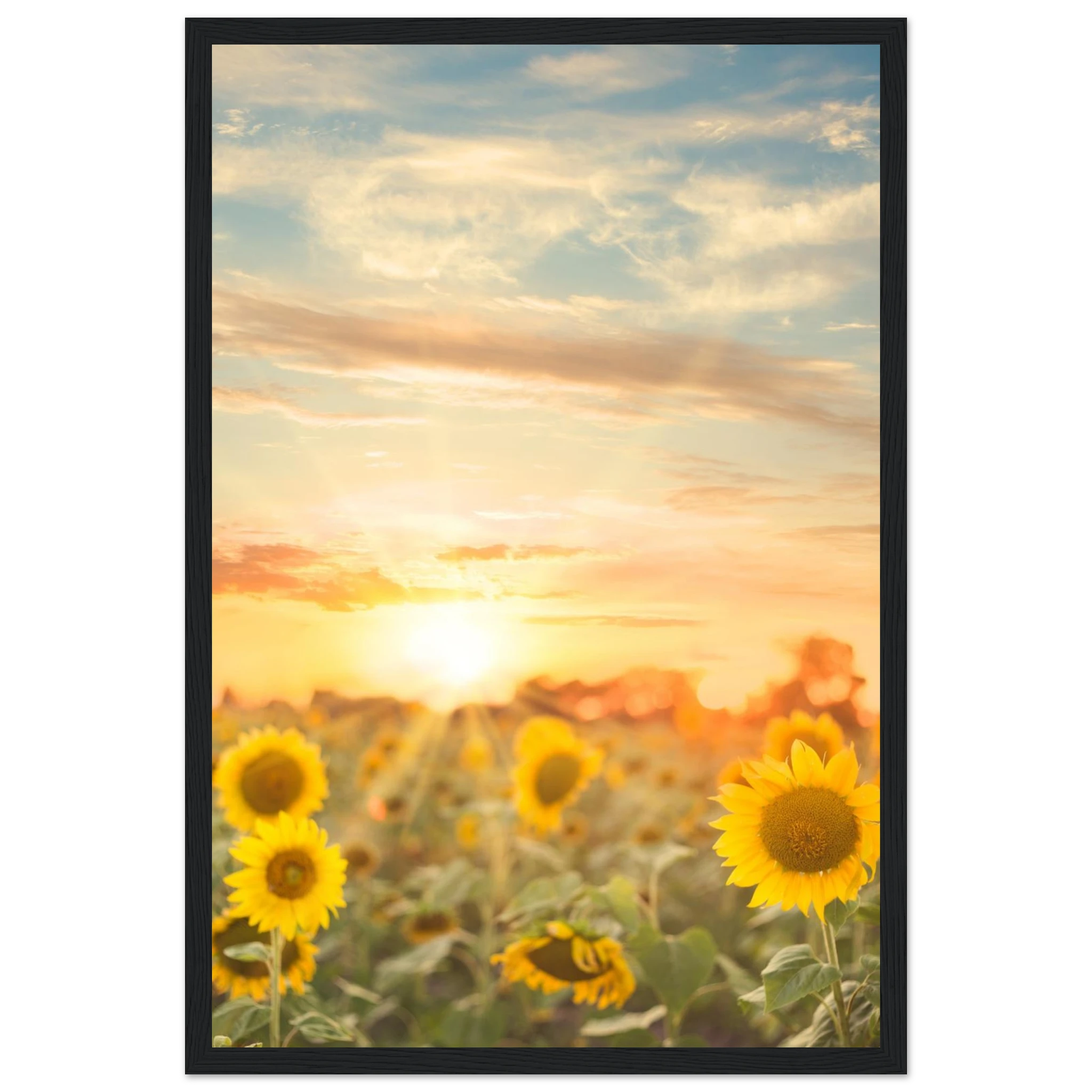 7ffb7808-fd26-490e-b509-00212af710c3