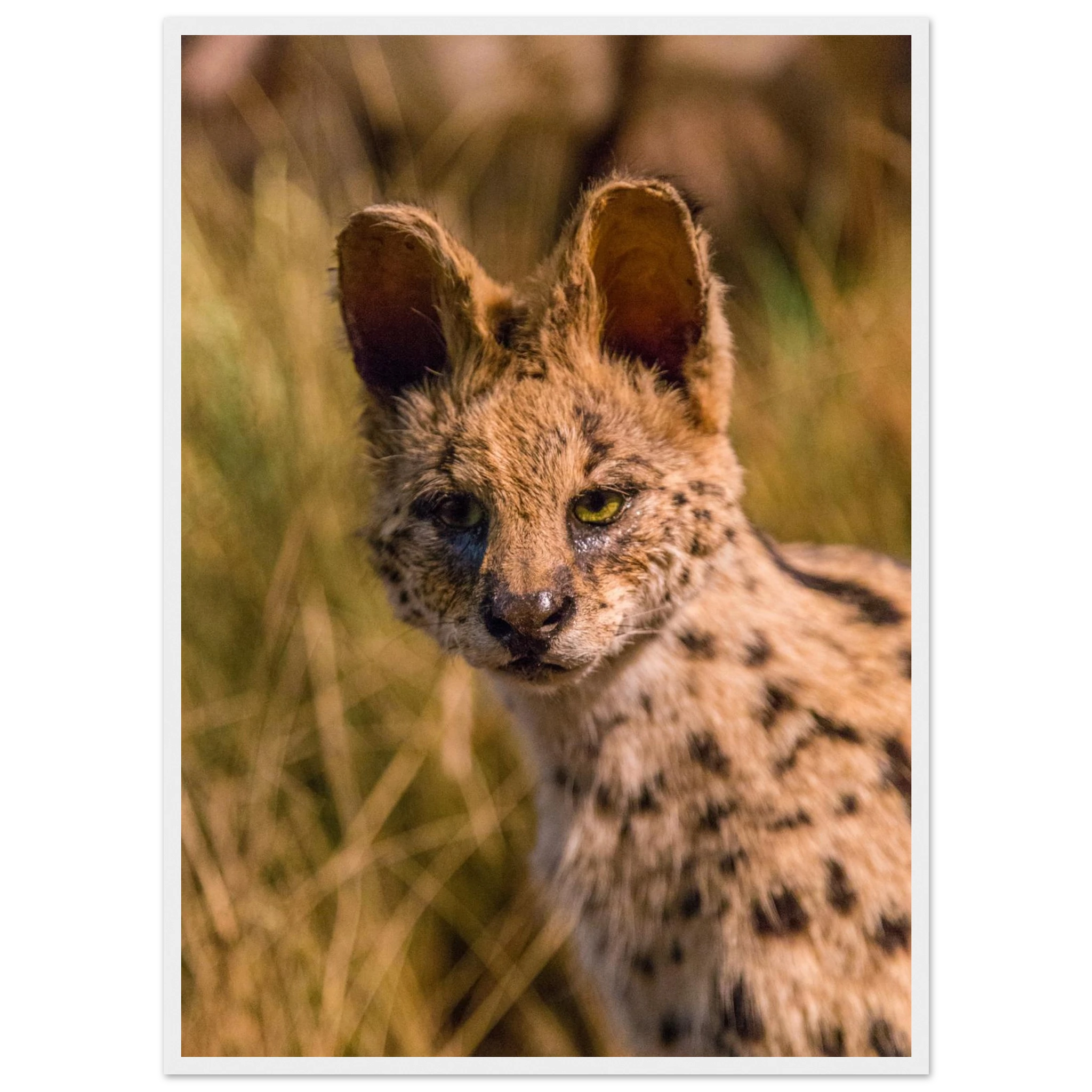 7ffd4a31-fec8-4bb0-9889-943a386c69dc