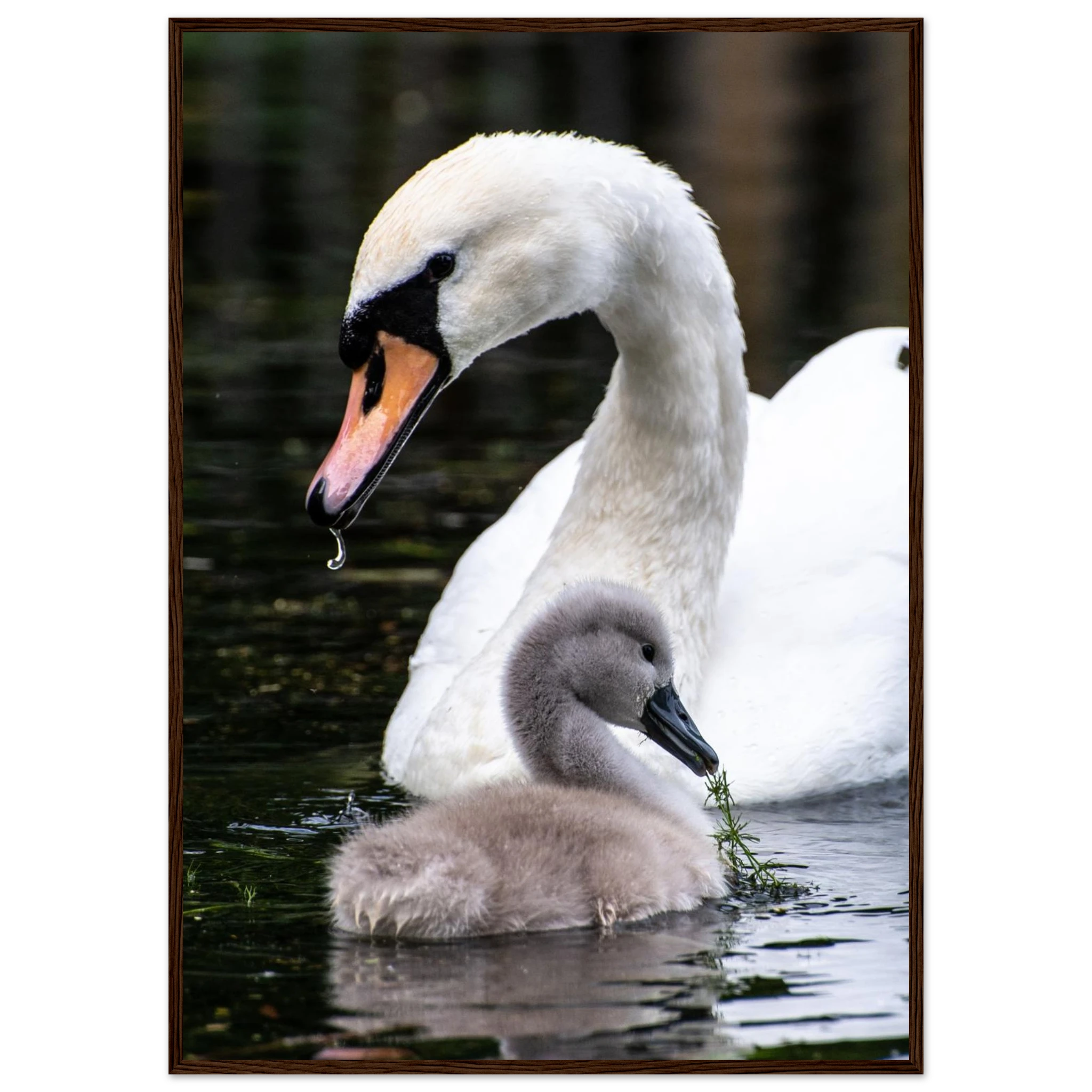 804c285c-98d8-4b83-b01f-057b224c7119