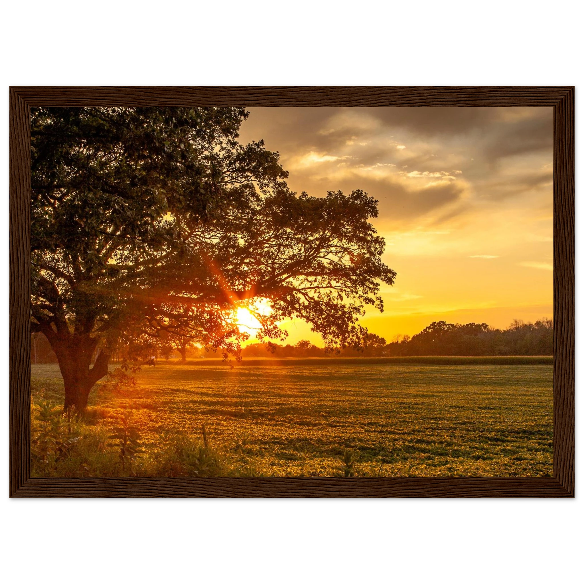 805e2894-5c00-4fde-81a9-d2f210032769