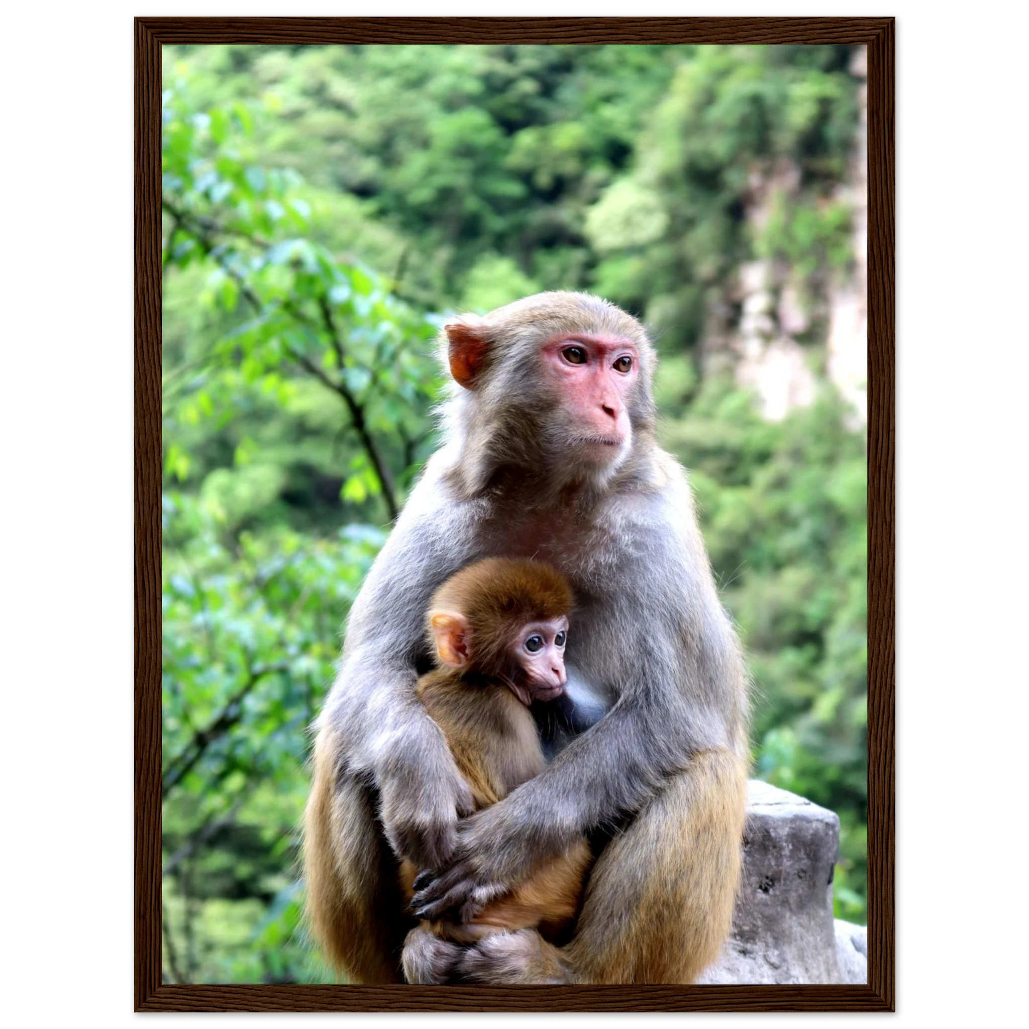 8069477d-6131-48fa-907a-b25c2fa89788