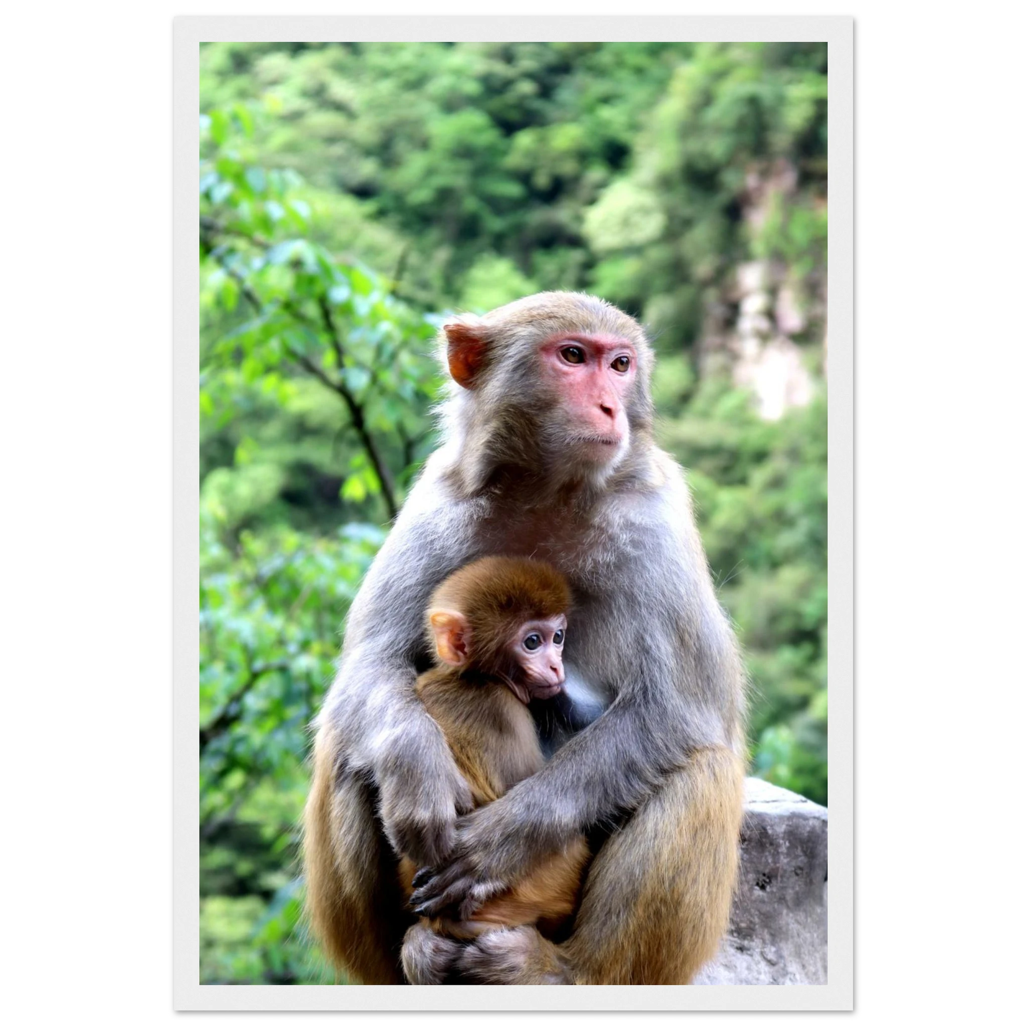 808a488b-1a5d-4c0a-9c02-1d9474a74514