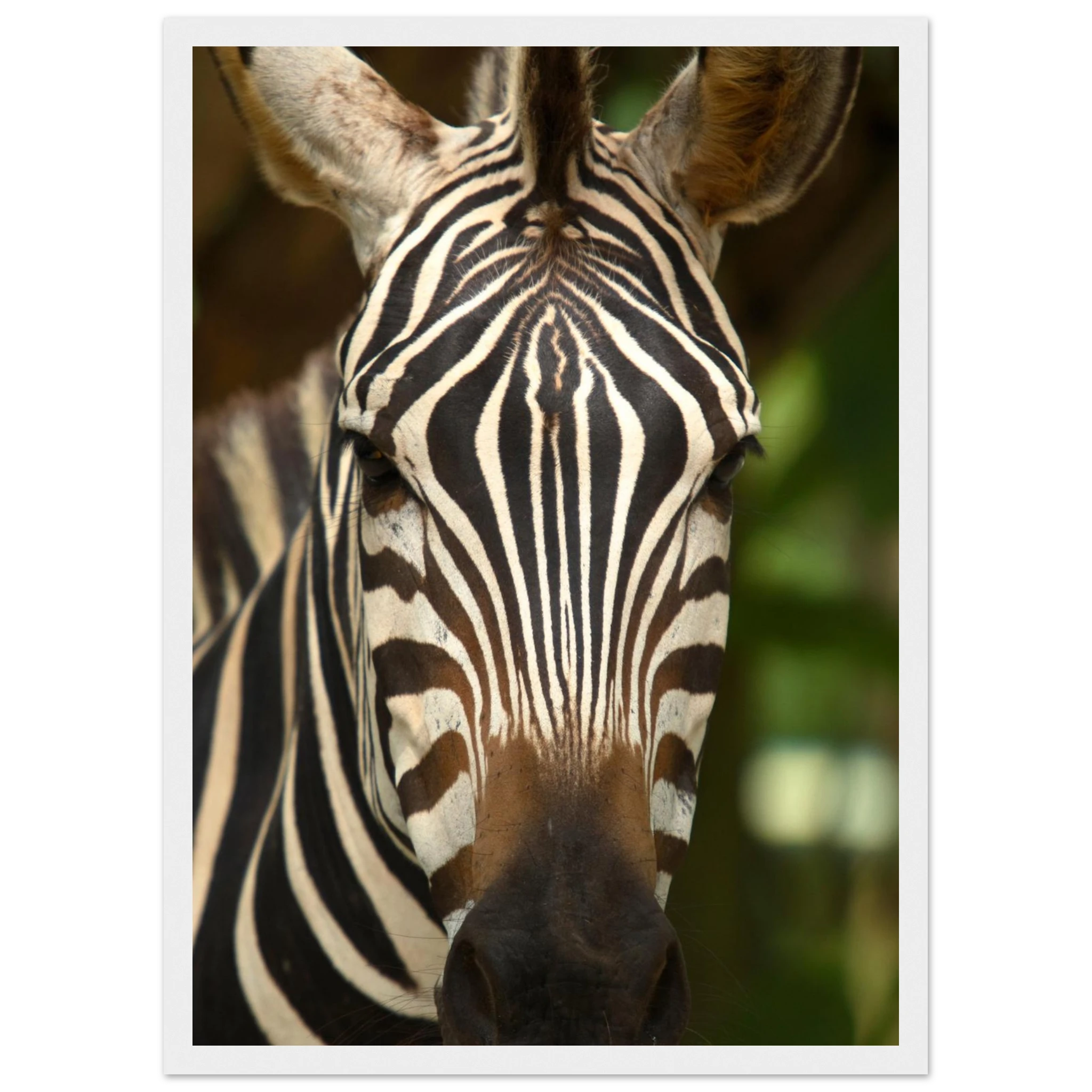 809fe252-ff36-4b1f-843a-9c1dd93d9dd5