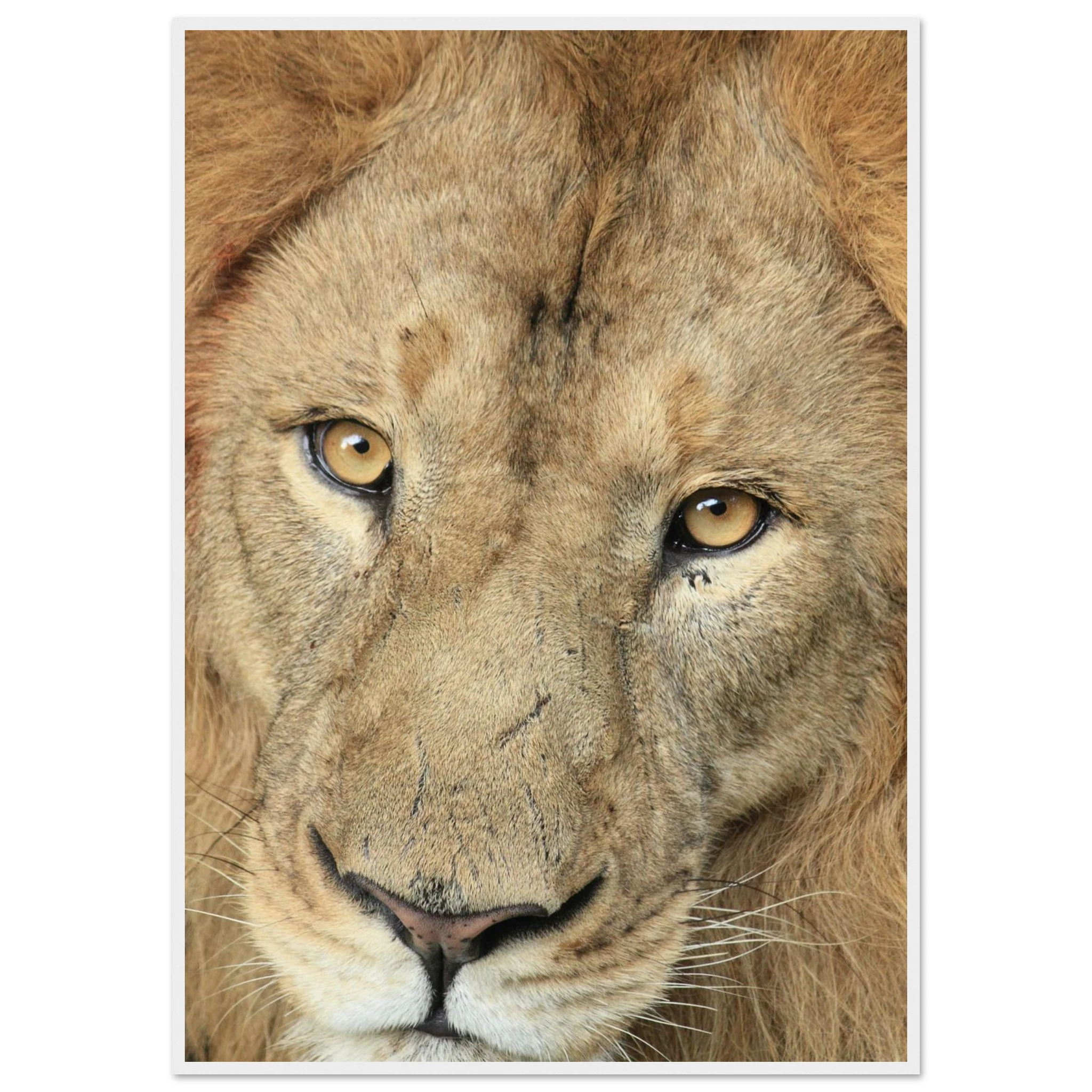 80d05654-8793-4a1d-8c49-d3d799593744