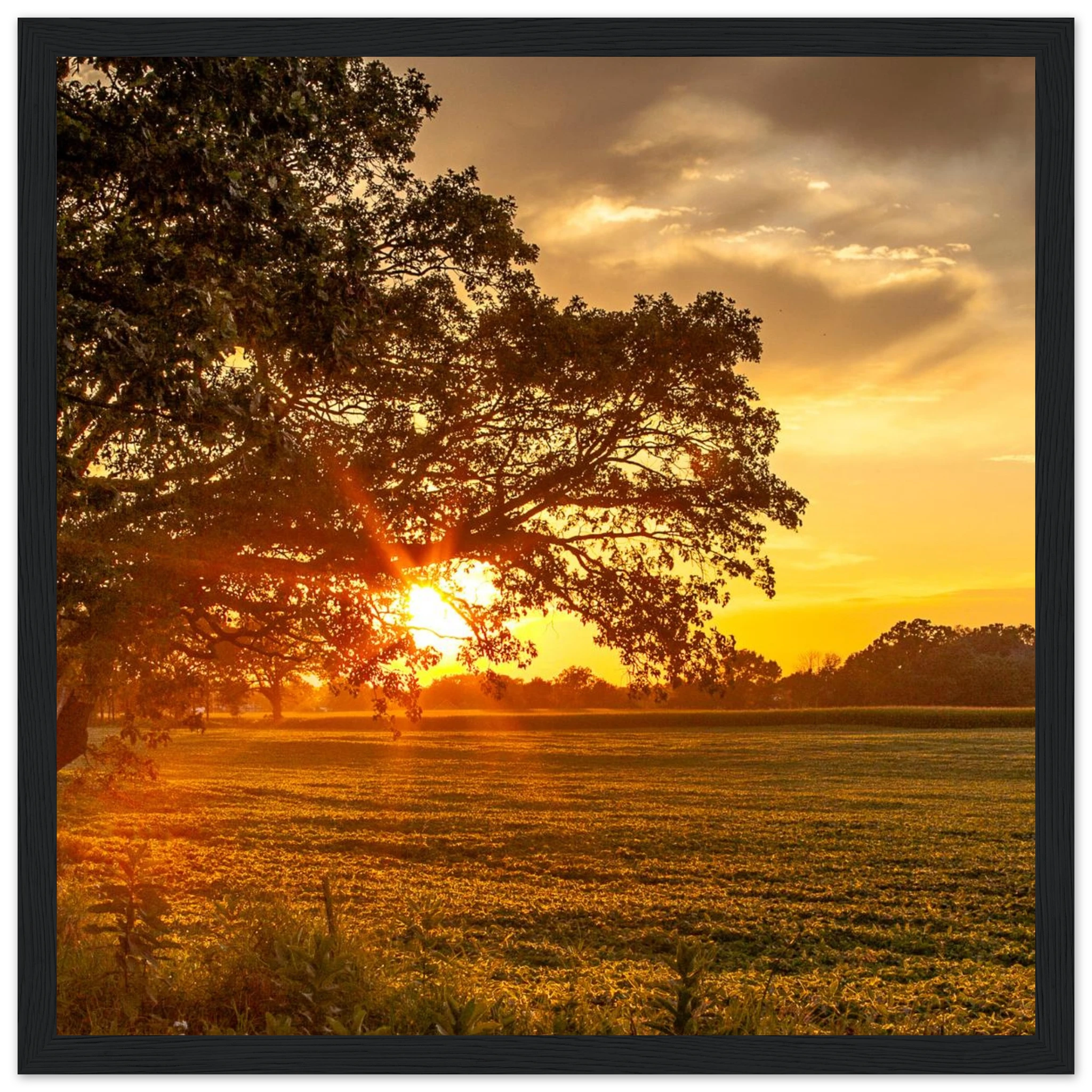 80e6f9f8-4930-4a42-9034-39f6b2703711