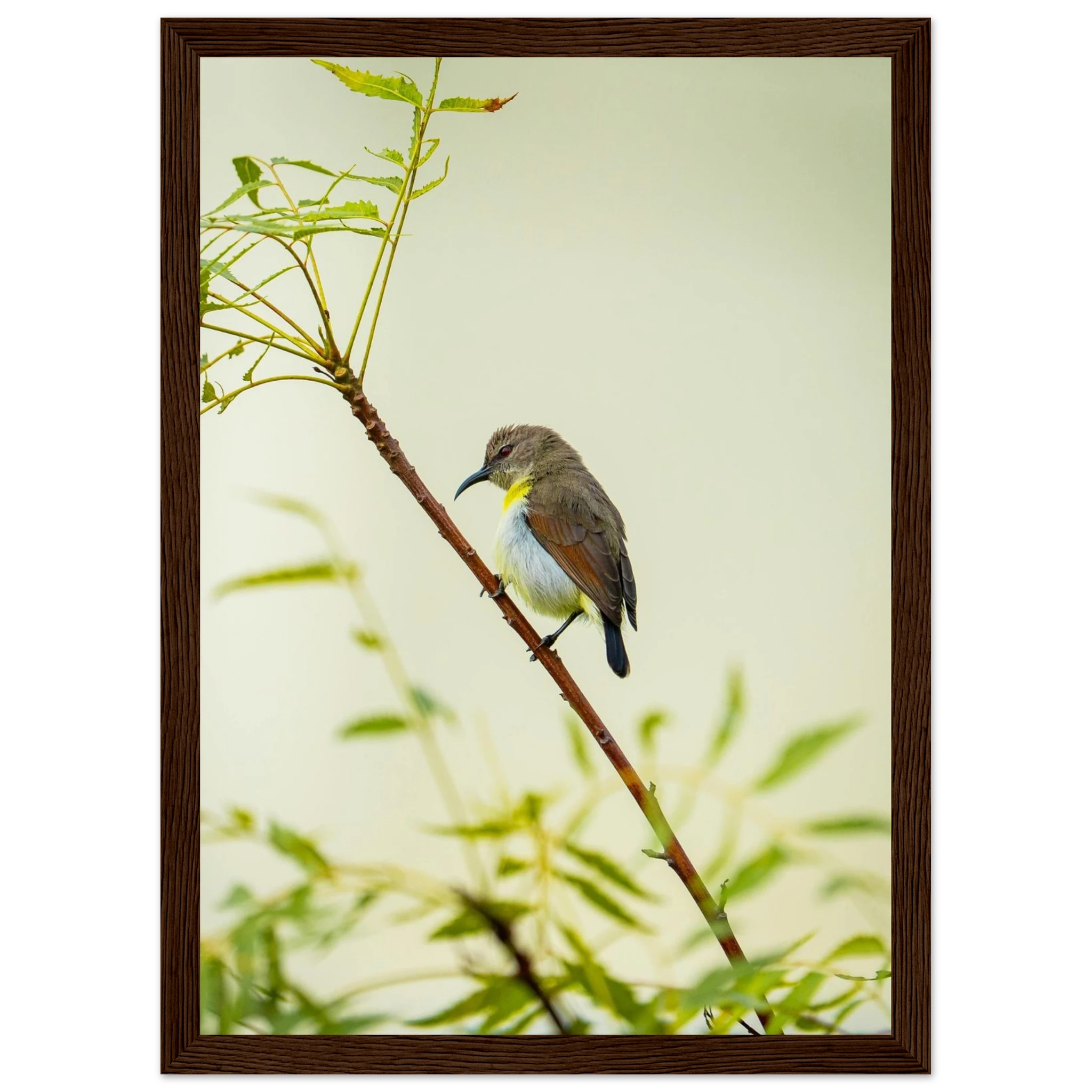 80f5bee6-7695-4f20-a381-038c0da1e47e