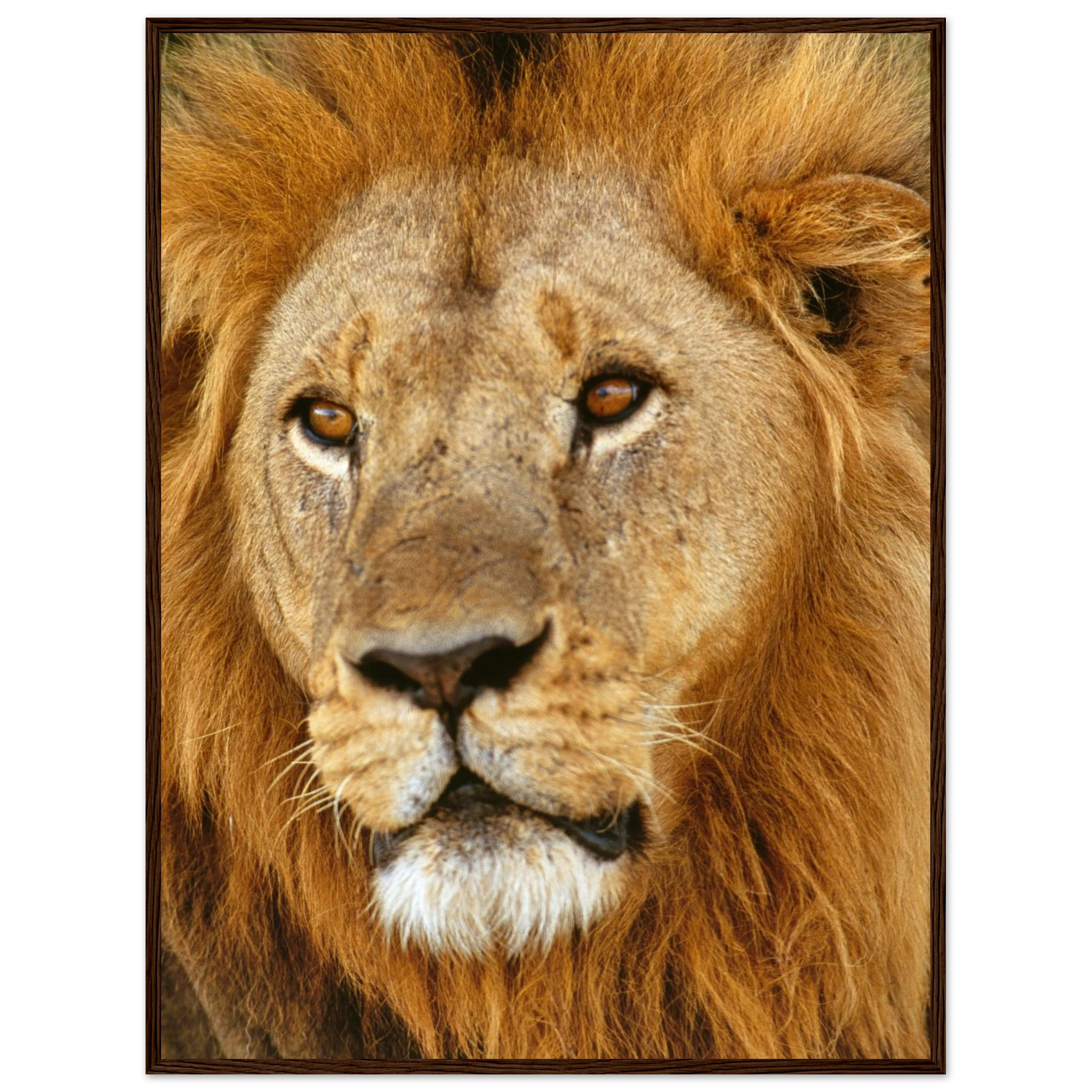 8103f441-875b-4e26-8f78-1999dec0325e