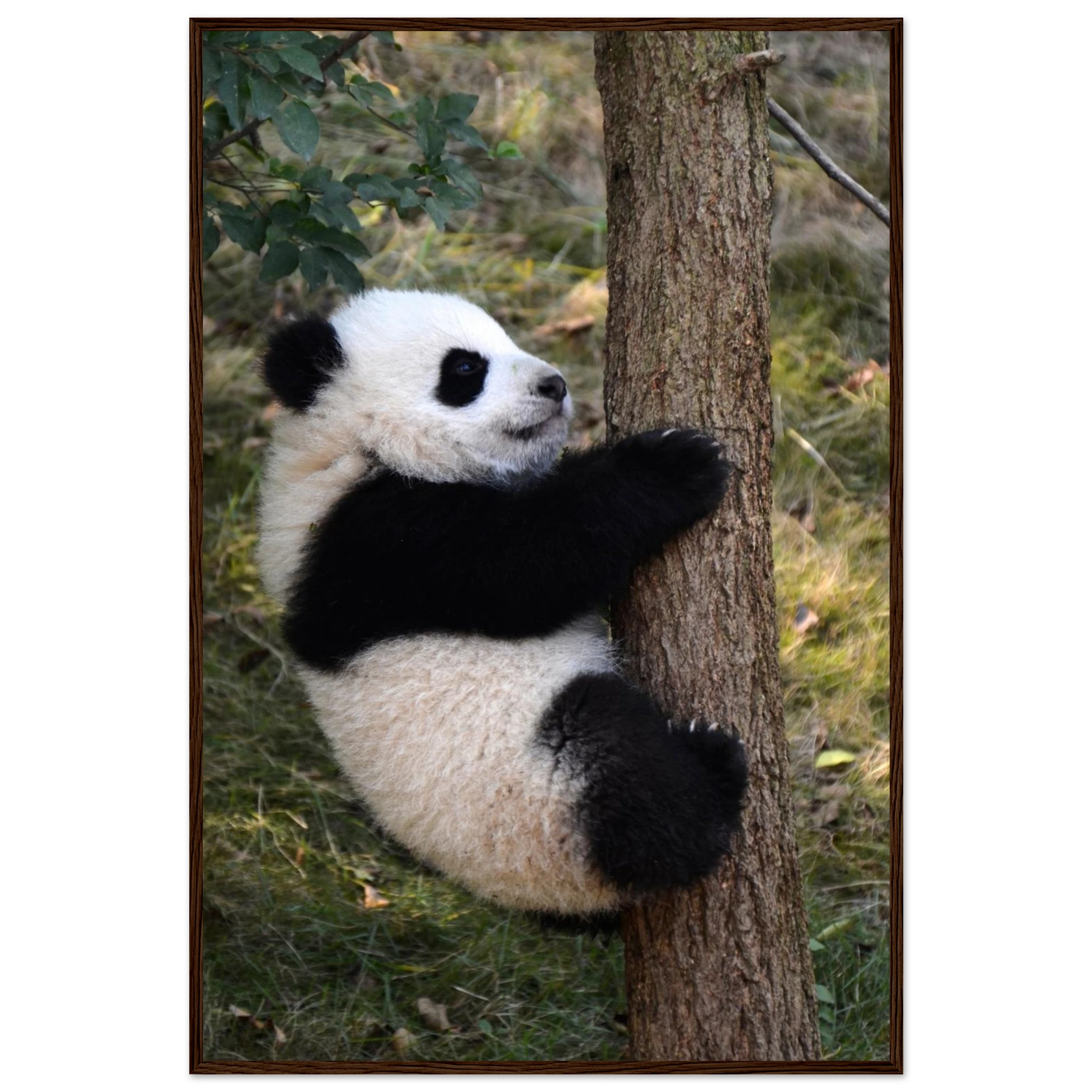 81265550-9cf5-44f2-9682-33103254a82e