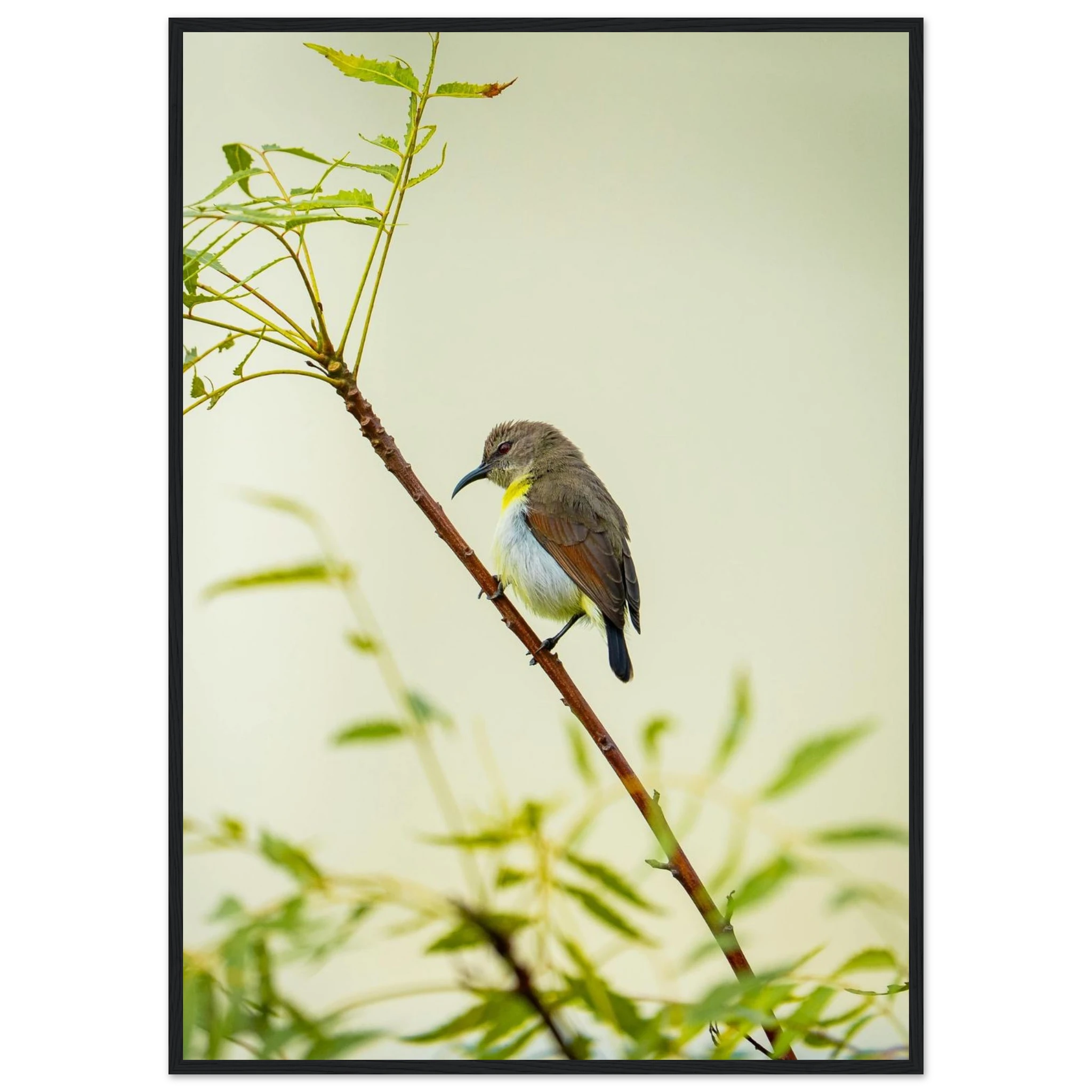 8134b611-e342-49ff-8f50-b401fe440e13