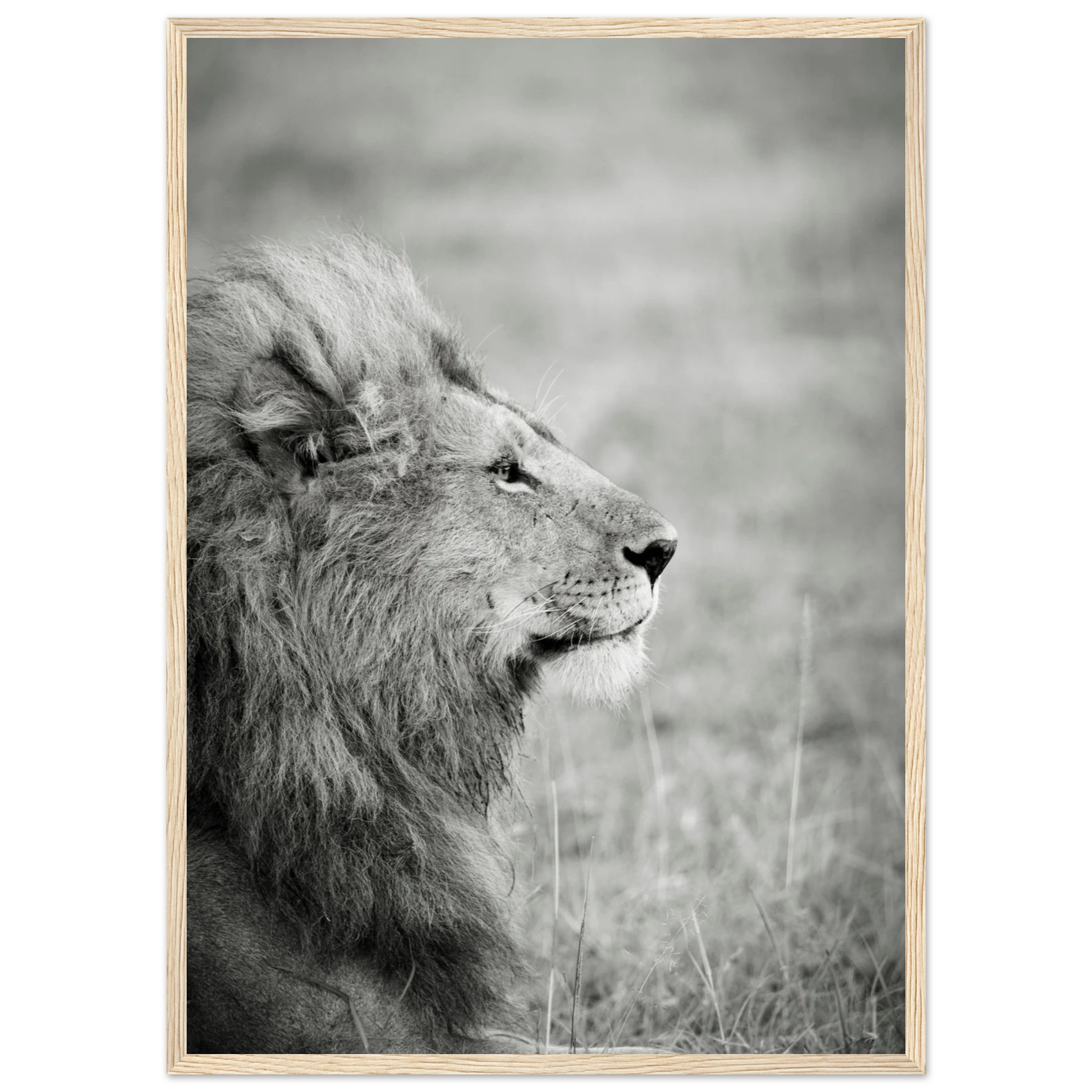 8140e860-be9e-4a97-b4d6-7a04570af298