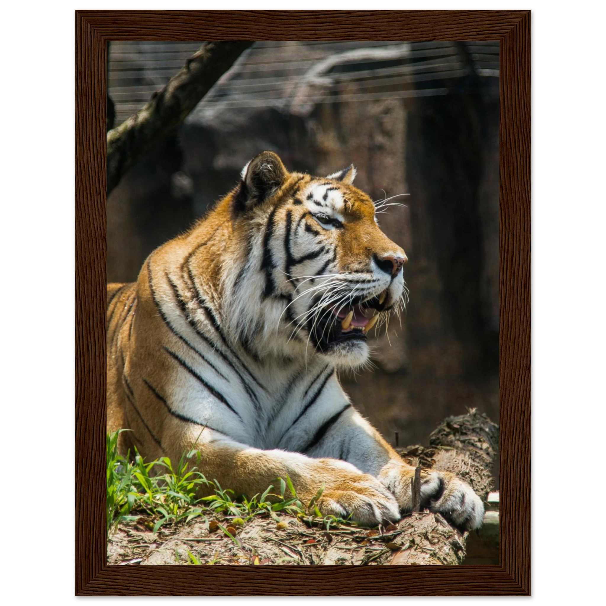 815786df-0af5-4474-86cc-c953cc519a73