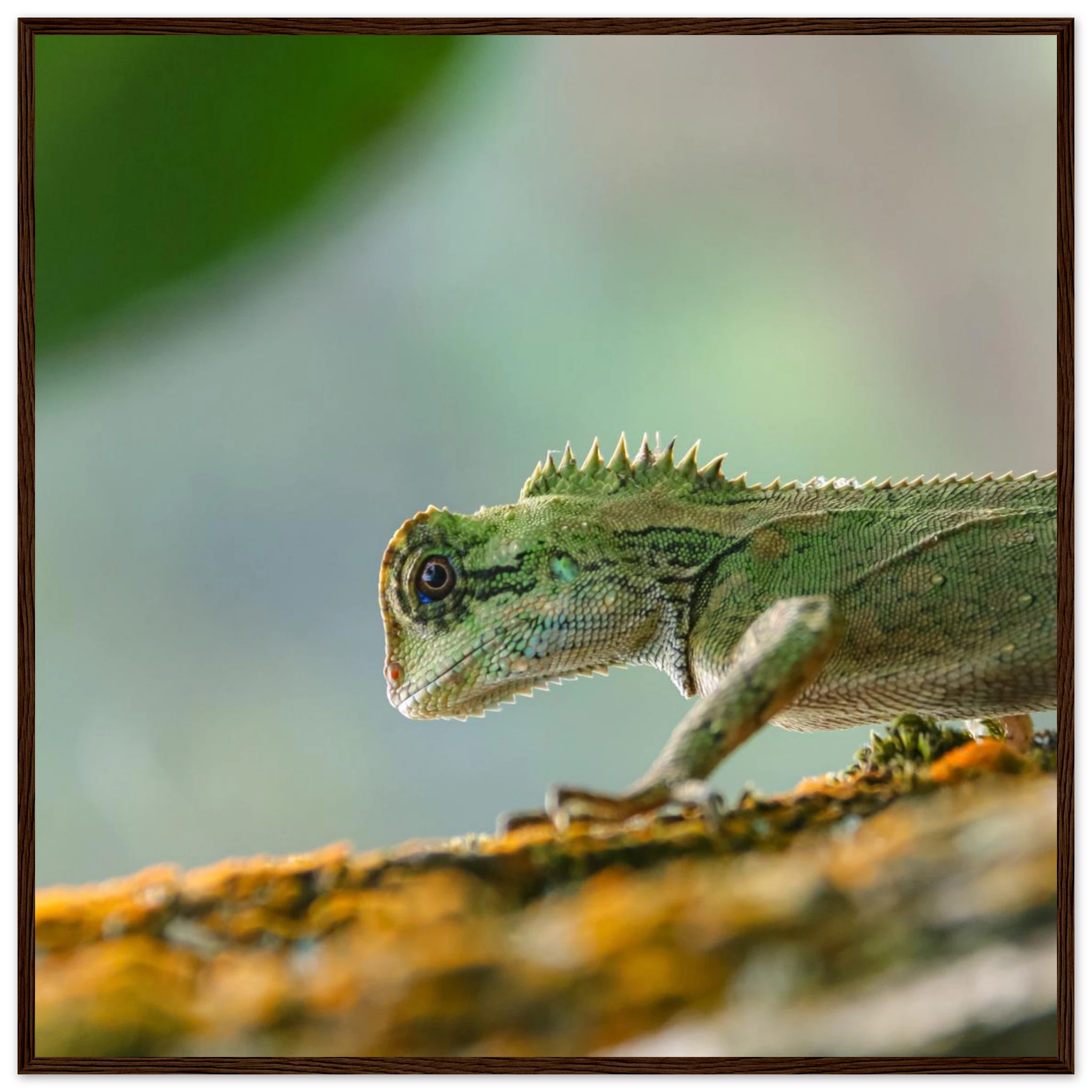 8160e858-ba9a-4a3d-b8d9-03a7fbc85eee