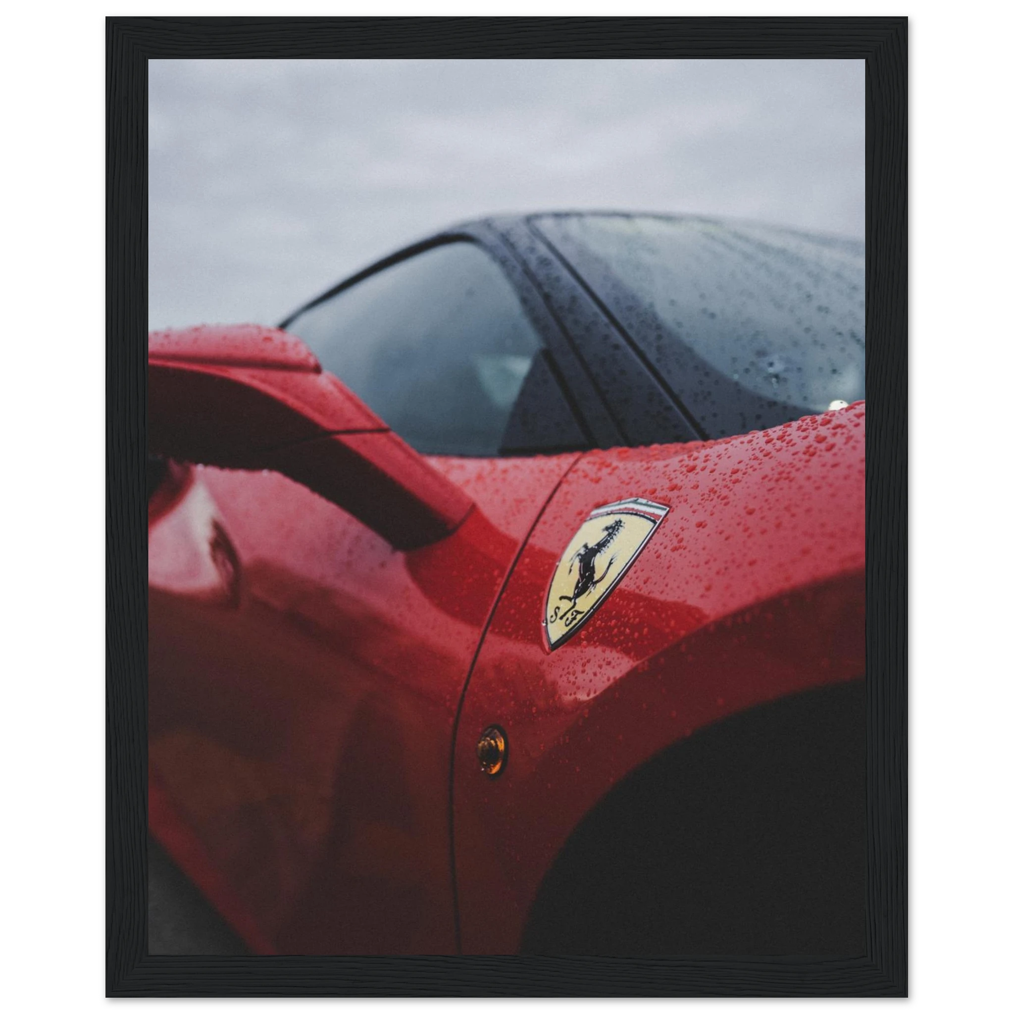 81699a58-4cac-4fef-afd7-712c26d5979b