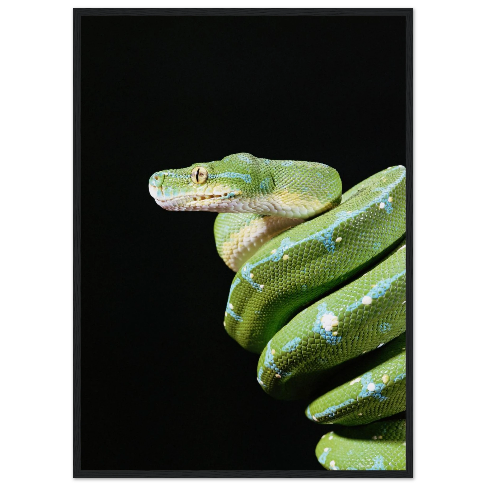 8170e4f5-9718-451c-88b6-614b3414cbbc