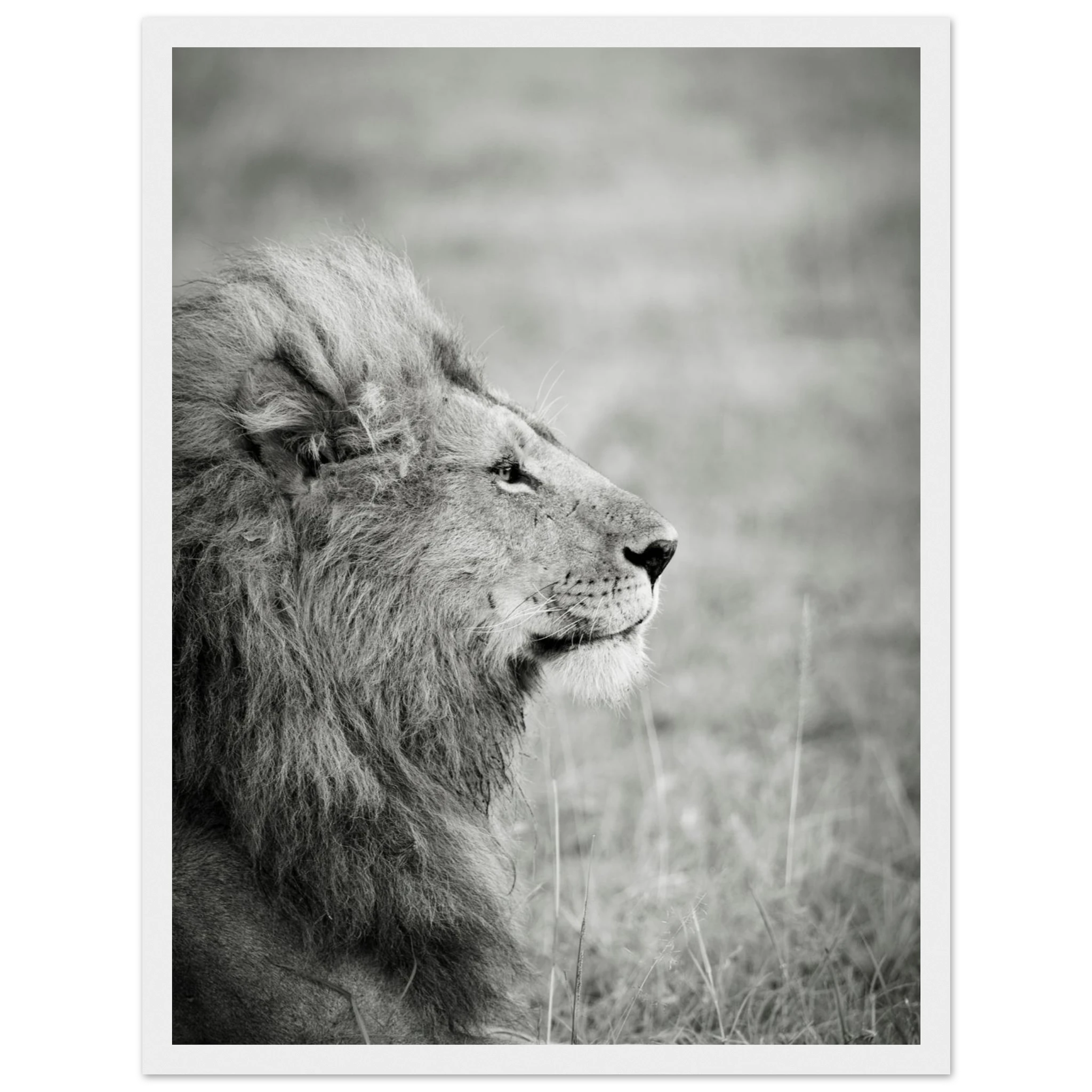 817be2fa-119b-4ee6-ba43-792592215465