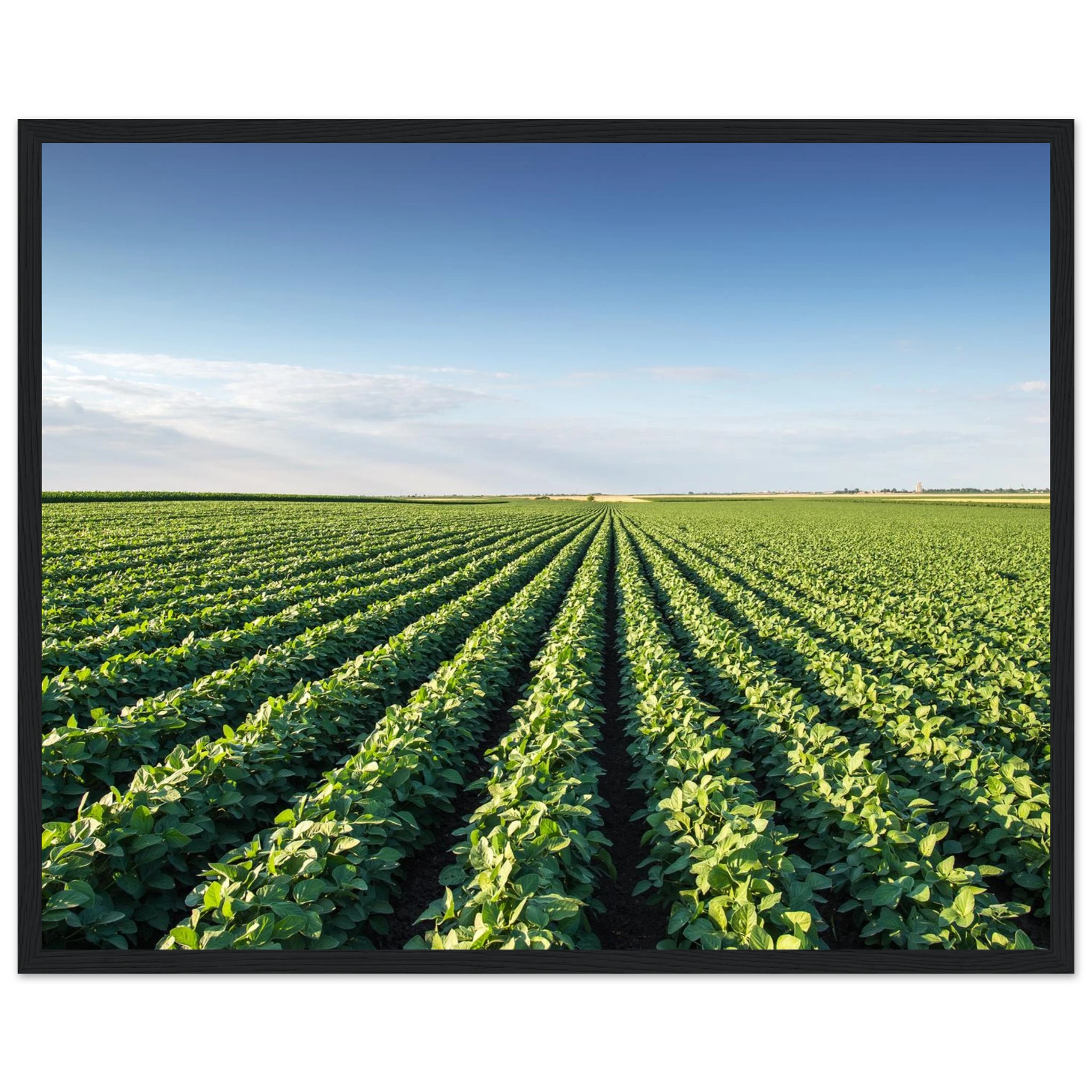 81878c59-3012-4e39-a602-2ca9a007c90c