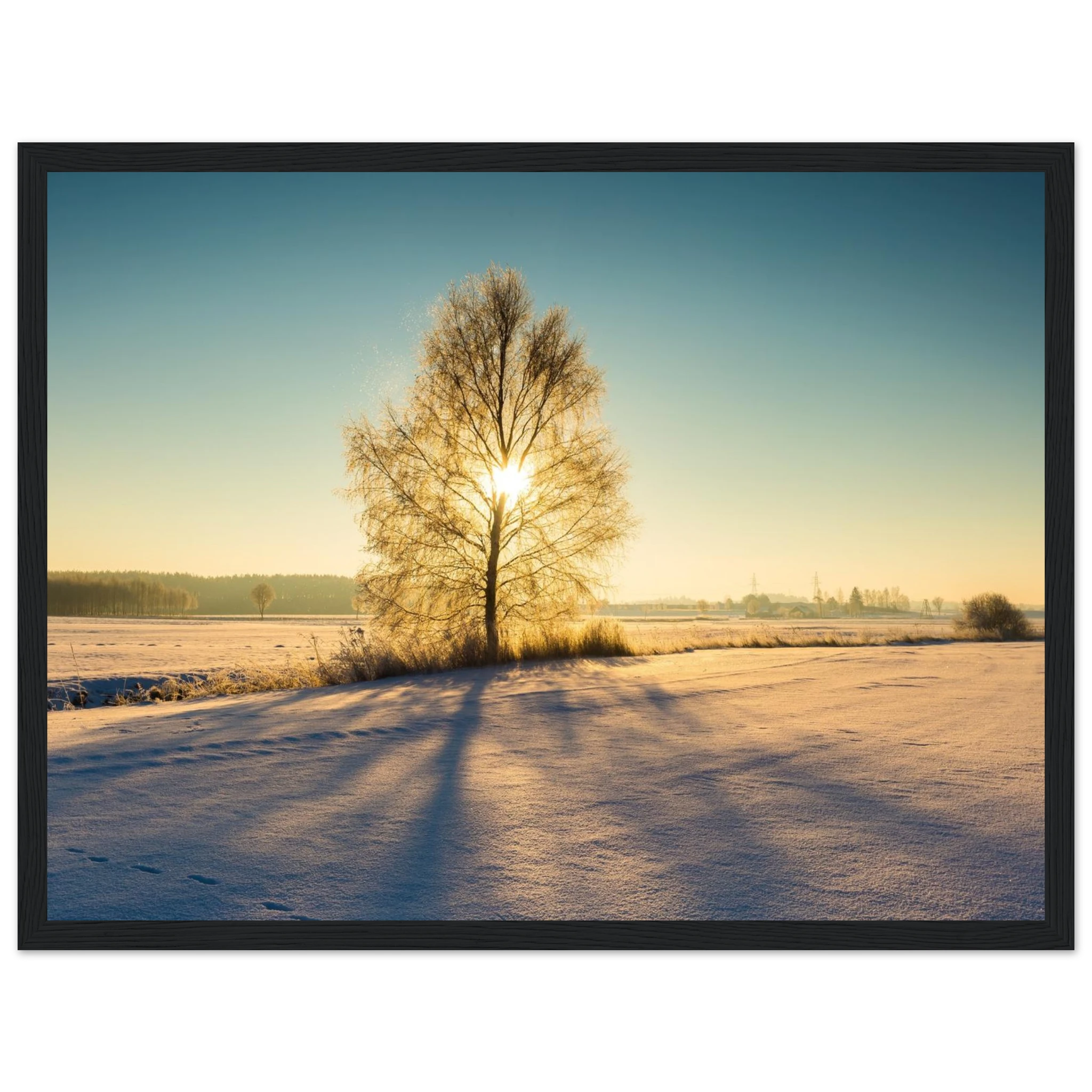 81a06300-e06d-4b25-b0b7-dcd38d429b4d