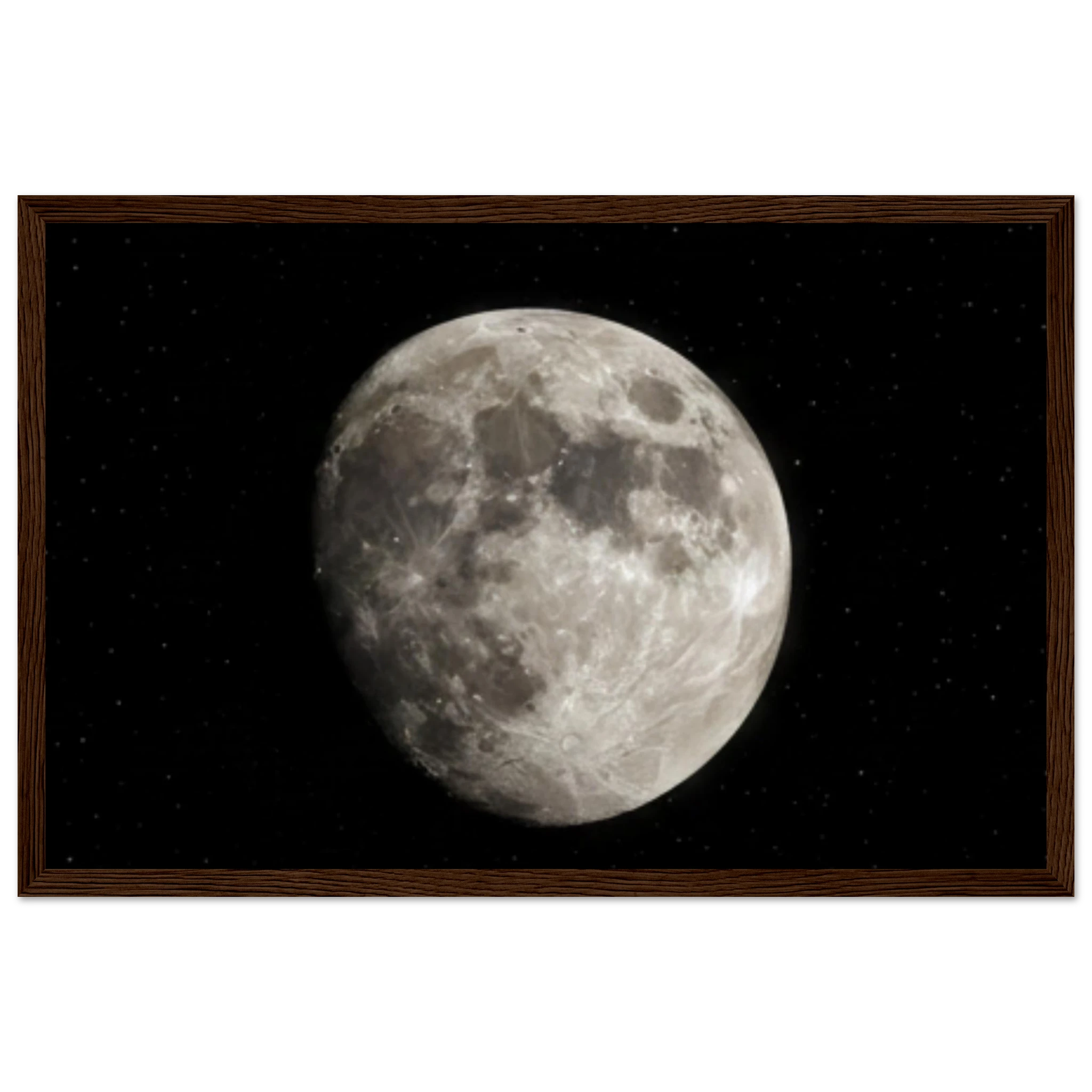 81aa63f7-474c-428f-8d36-559cdd725e0c