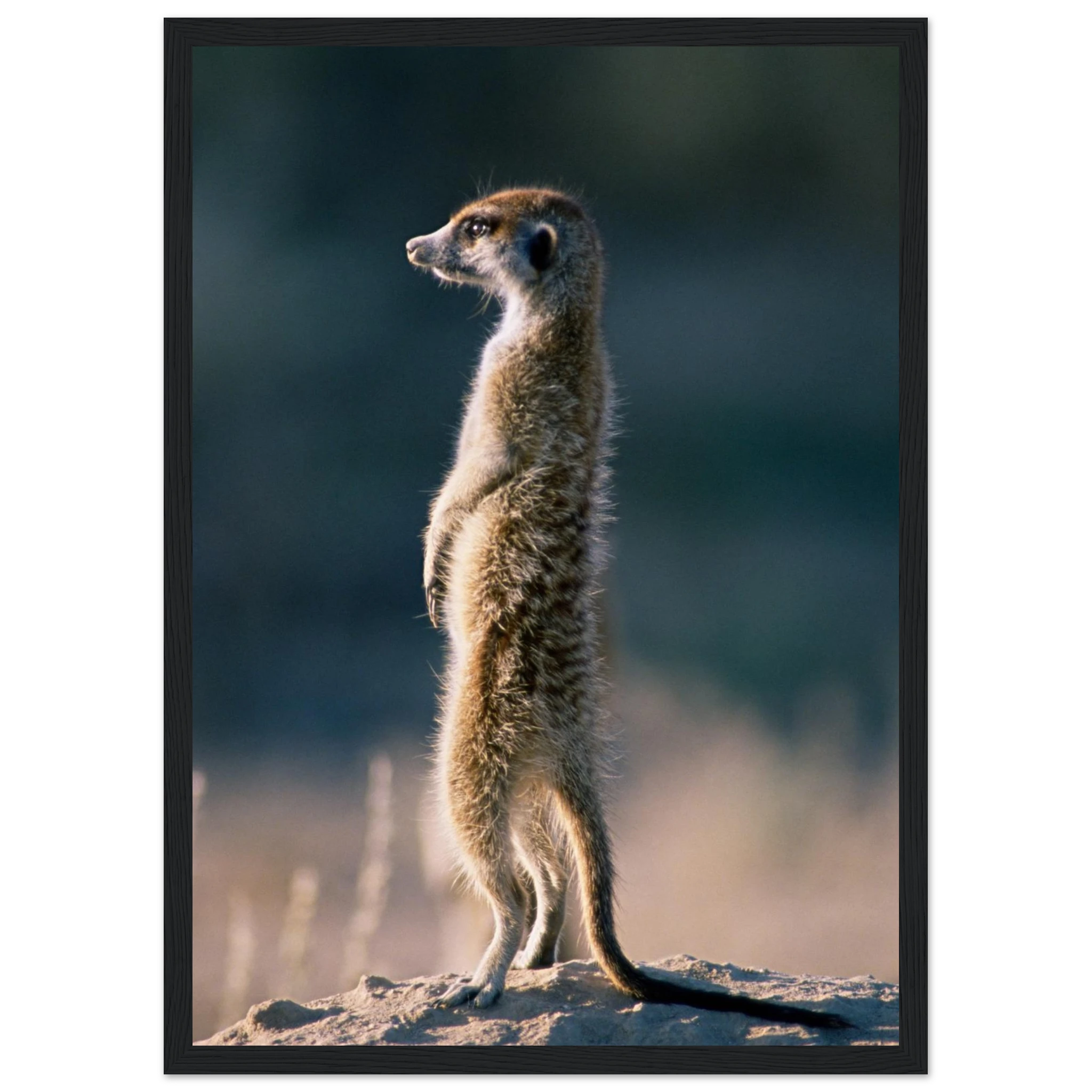 81be785b-cee2-4d8c-94b9-9abf4c7ae5a7