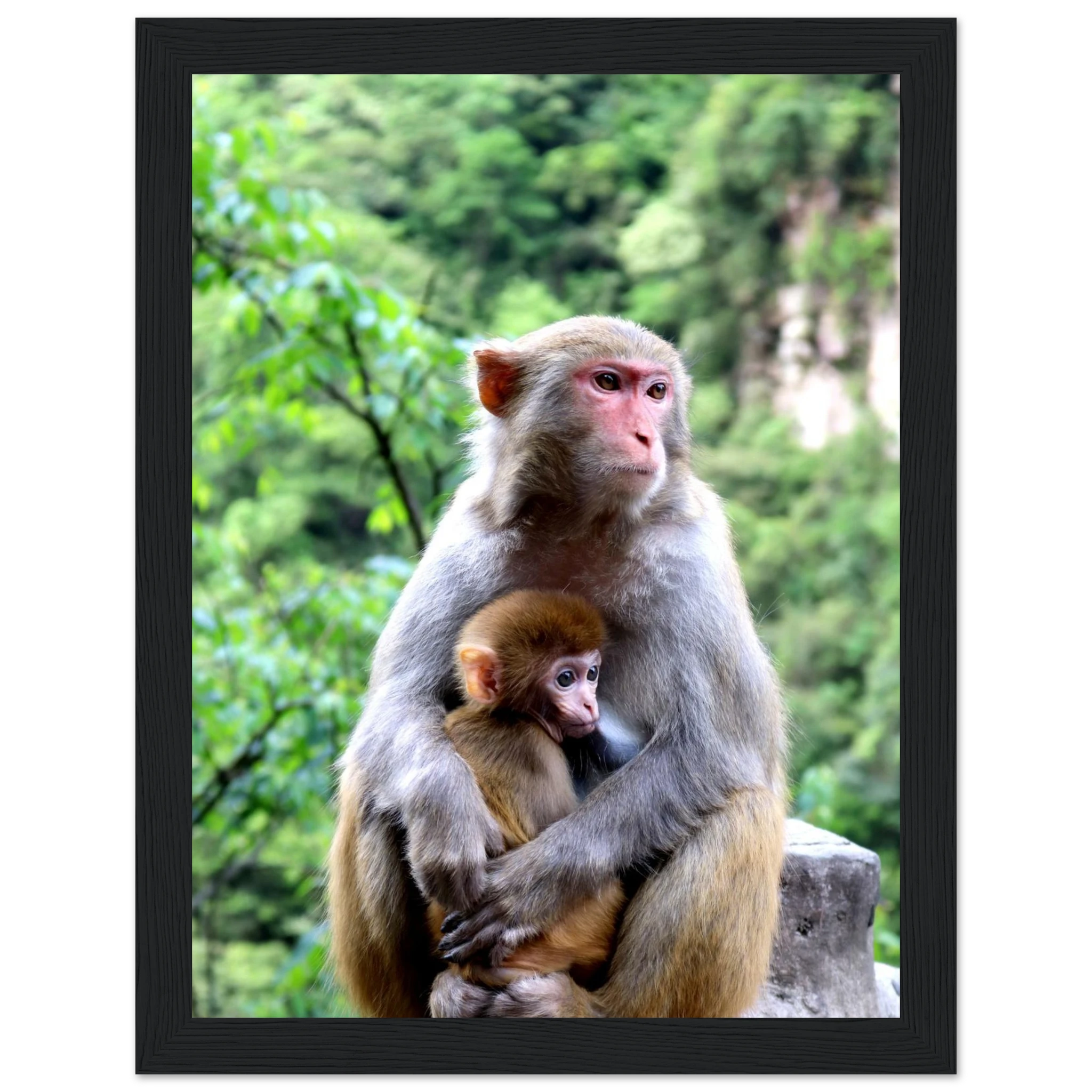 81be861e-0b11-4e77-988a-345bc5292c6b