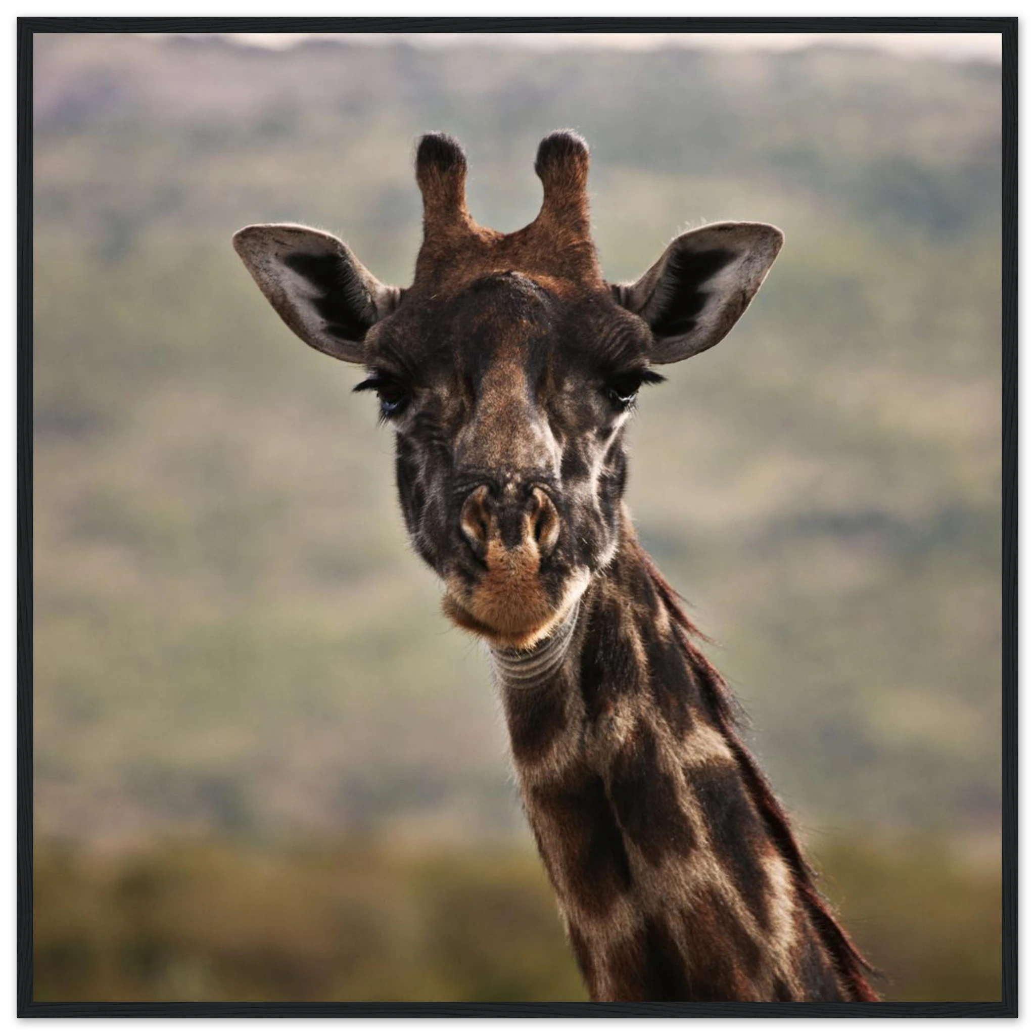 81ced24f-c41f-4188-813d-284e16554850