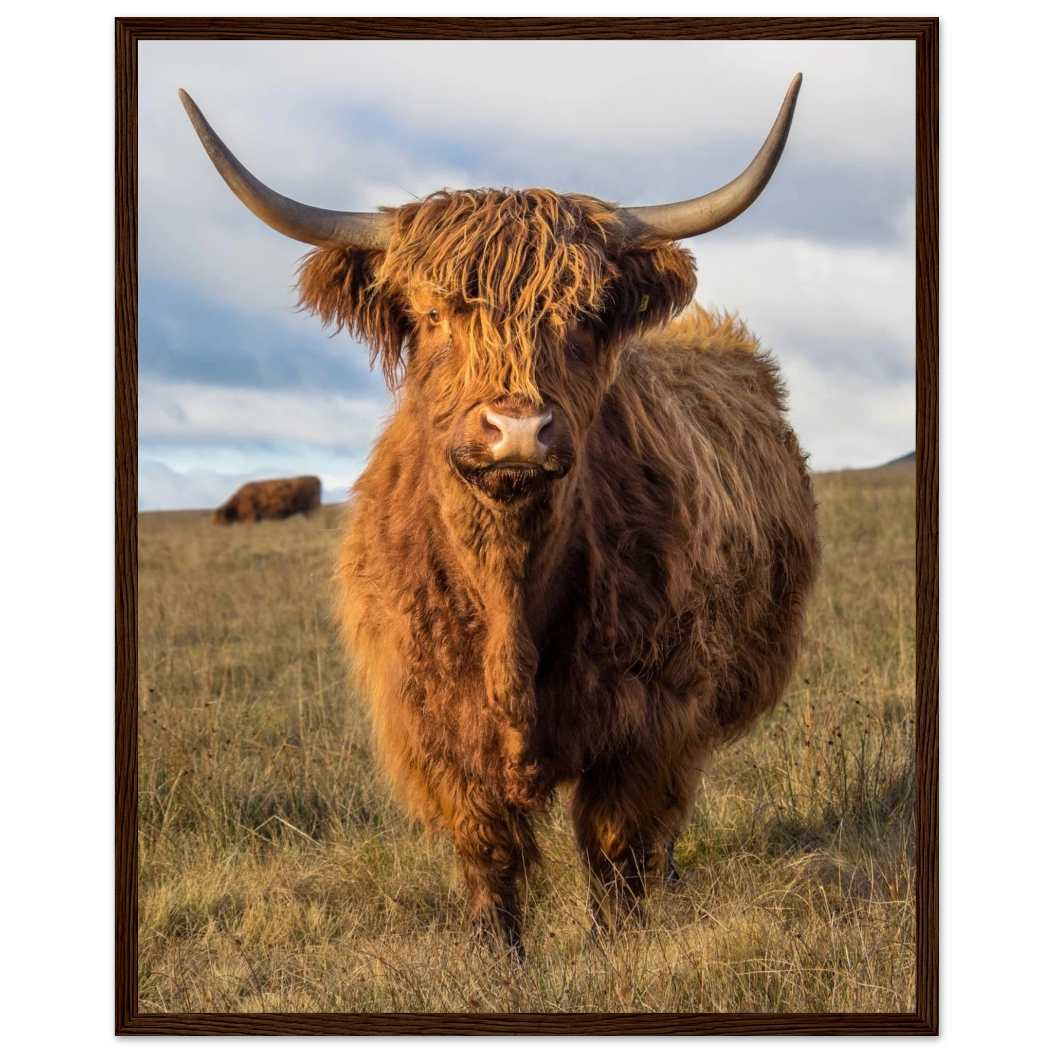 81d6481d-86ef-469b-a332-536f7ac68f0f