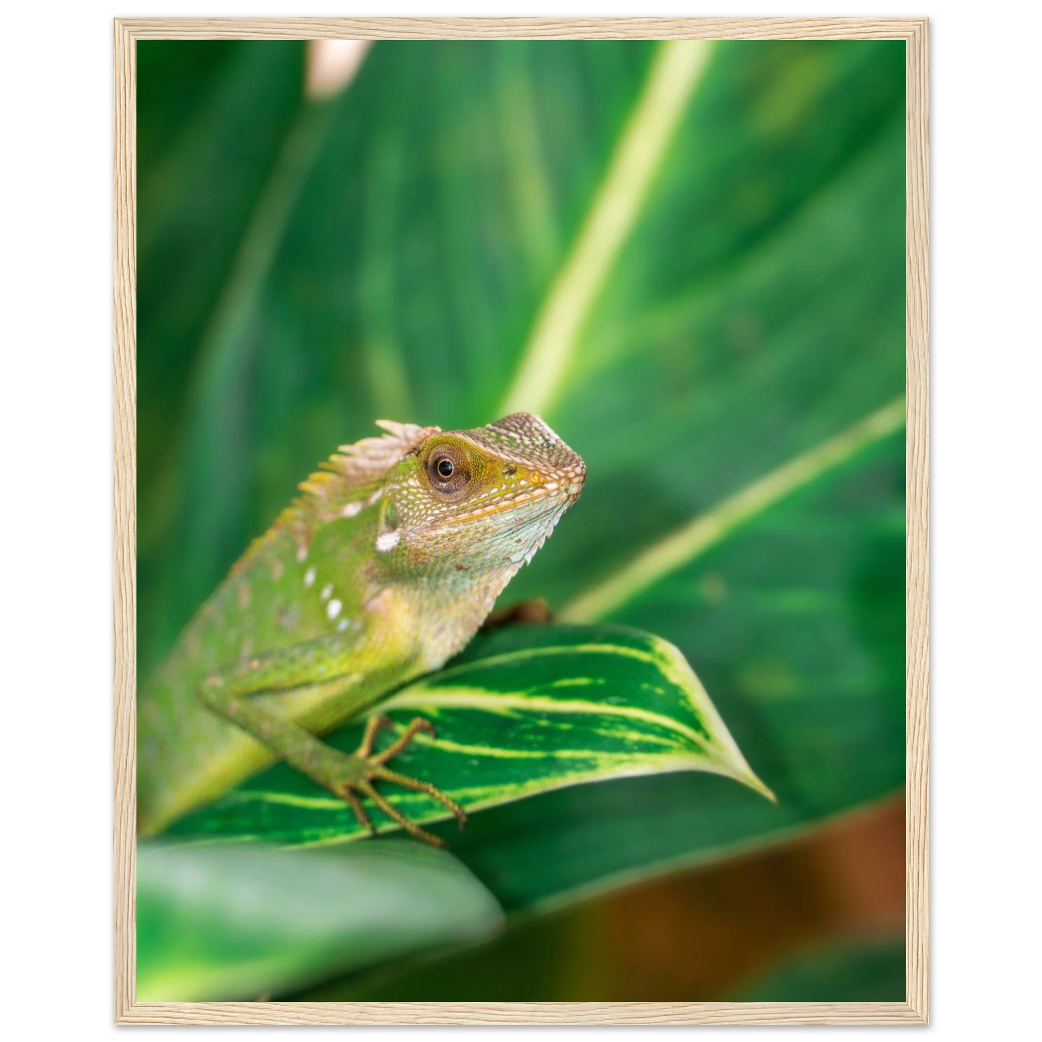 81de9fa6-d786-49c9-8710-c866c8f4cbaf