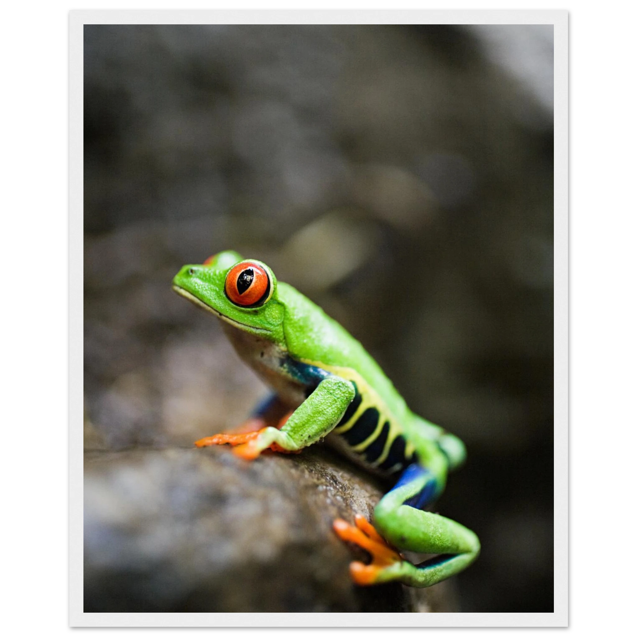 81f648a7-99ab-41c7-8a8c-dd6050869264