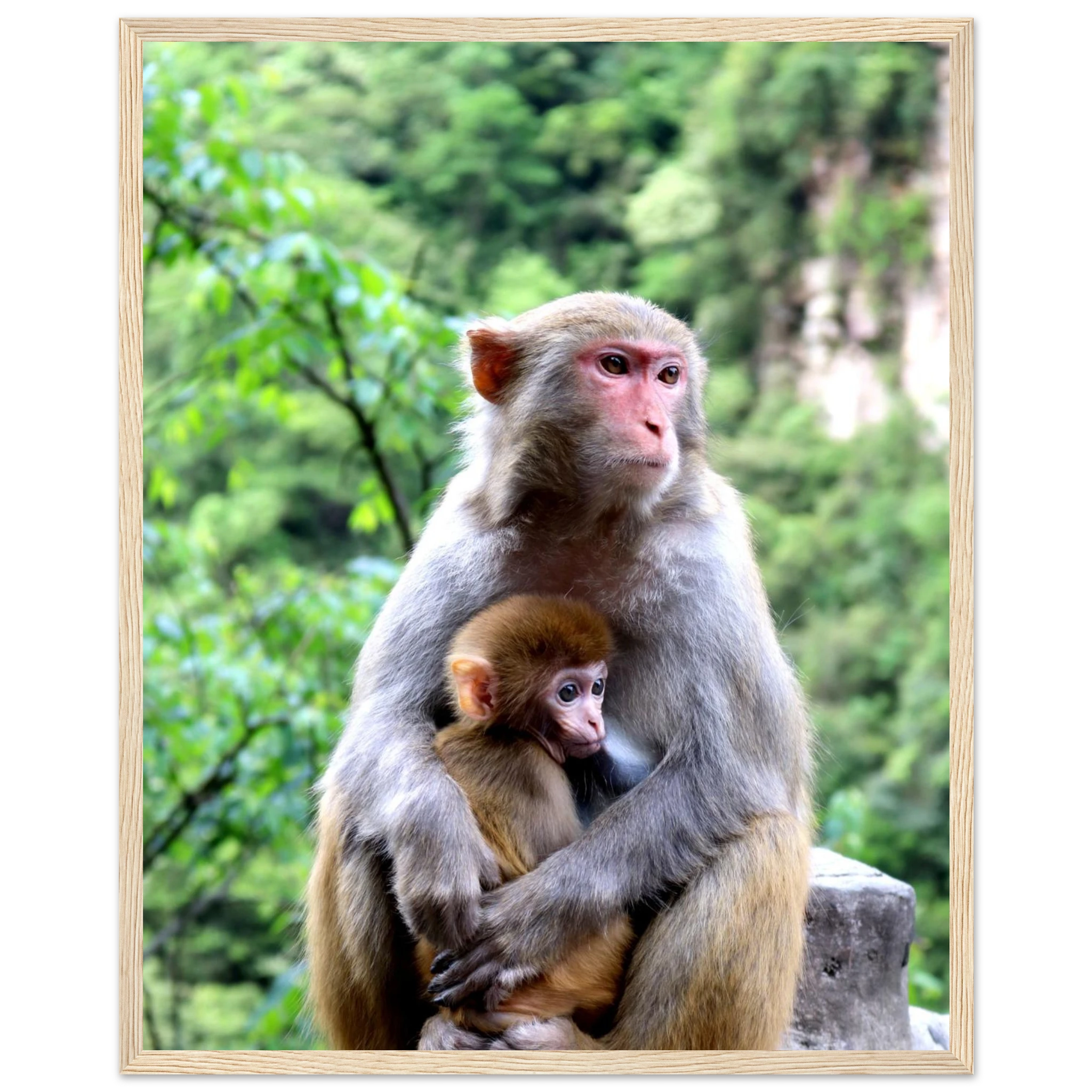 820a568f-682c-4a36-a7d4-35cb8a95aad1