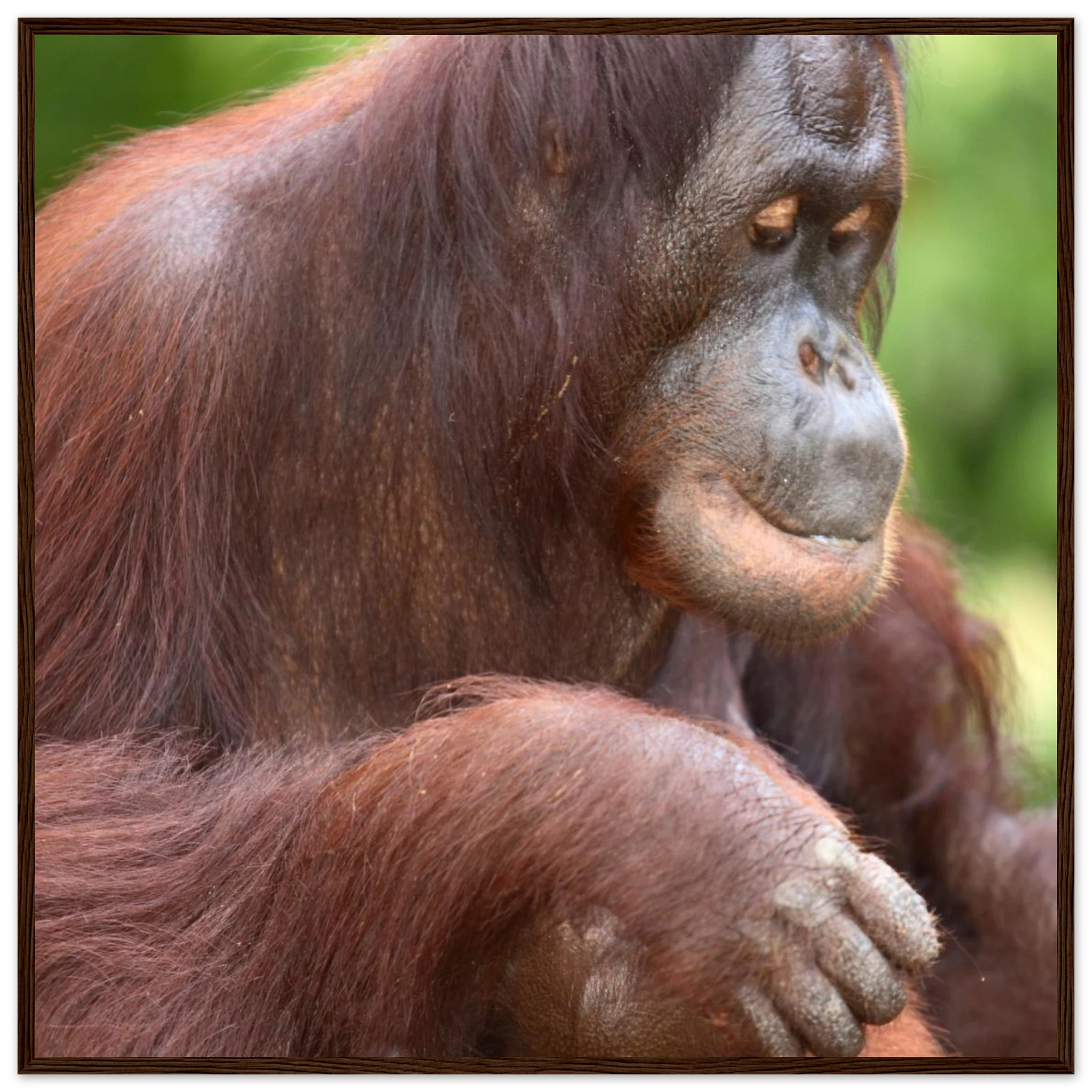 820af7a2-8881-4892-a0b0-86d20450d856