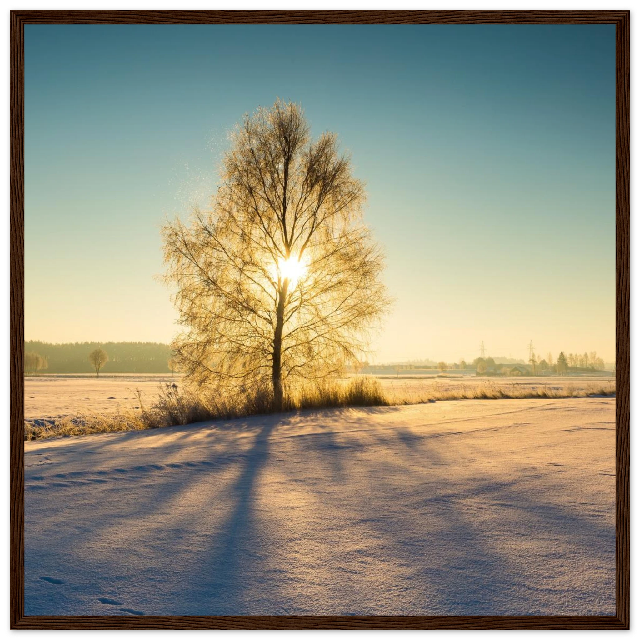 8212d575-9e36-40a3-a956-c372425c8024