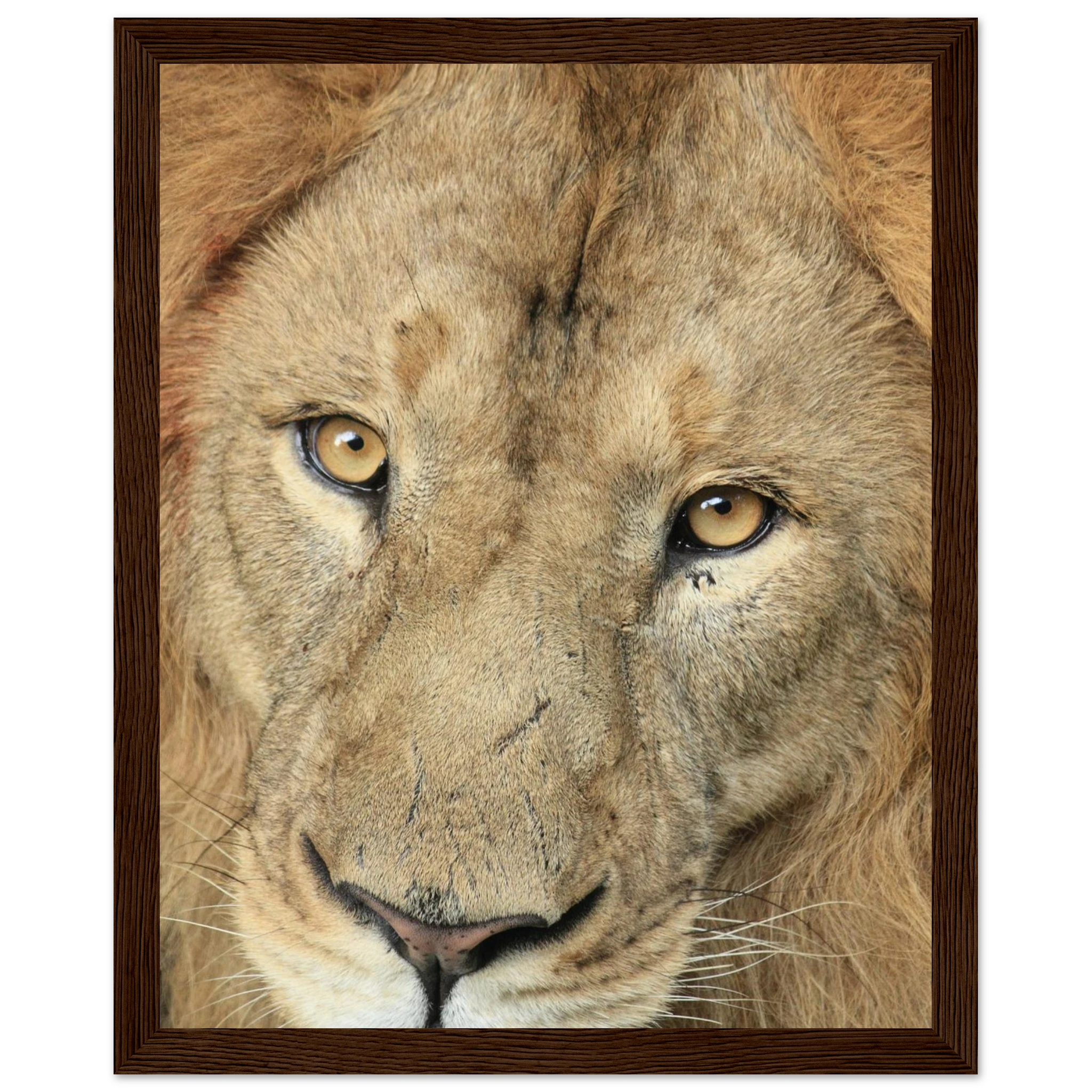 822a5c9b-8c08-4446-98ff-a38e34c7d43b