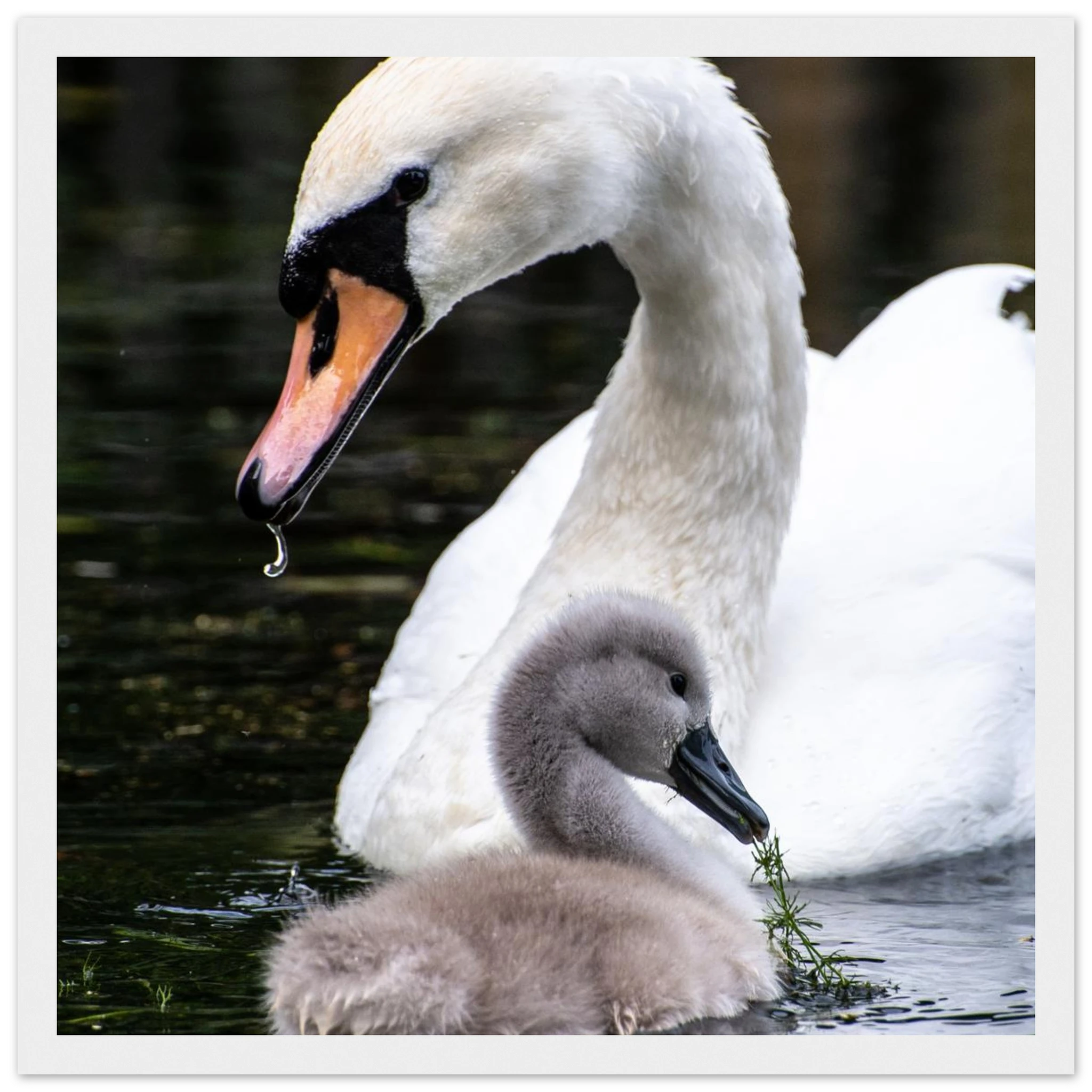 82348f7e-1da9-4f86-a26a-6d73ad0ac372